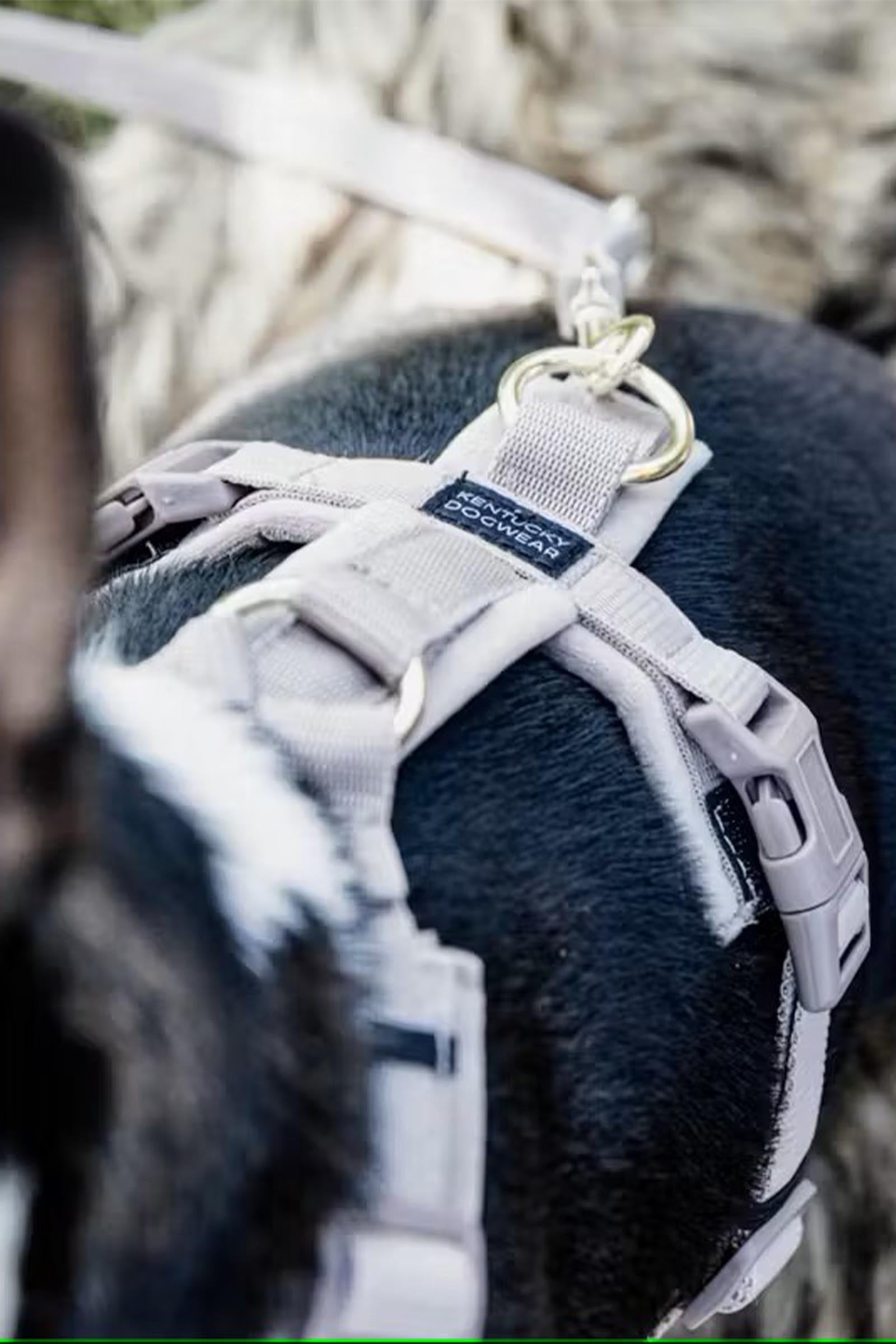 Kentucky Dogwear Active Velvet Dog Harness Dog Accesories