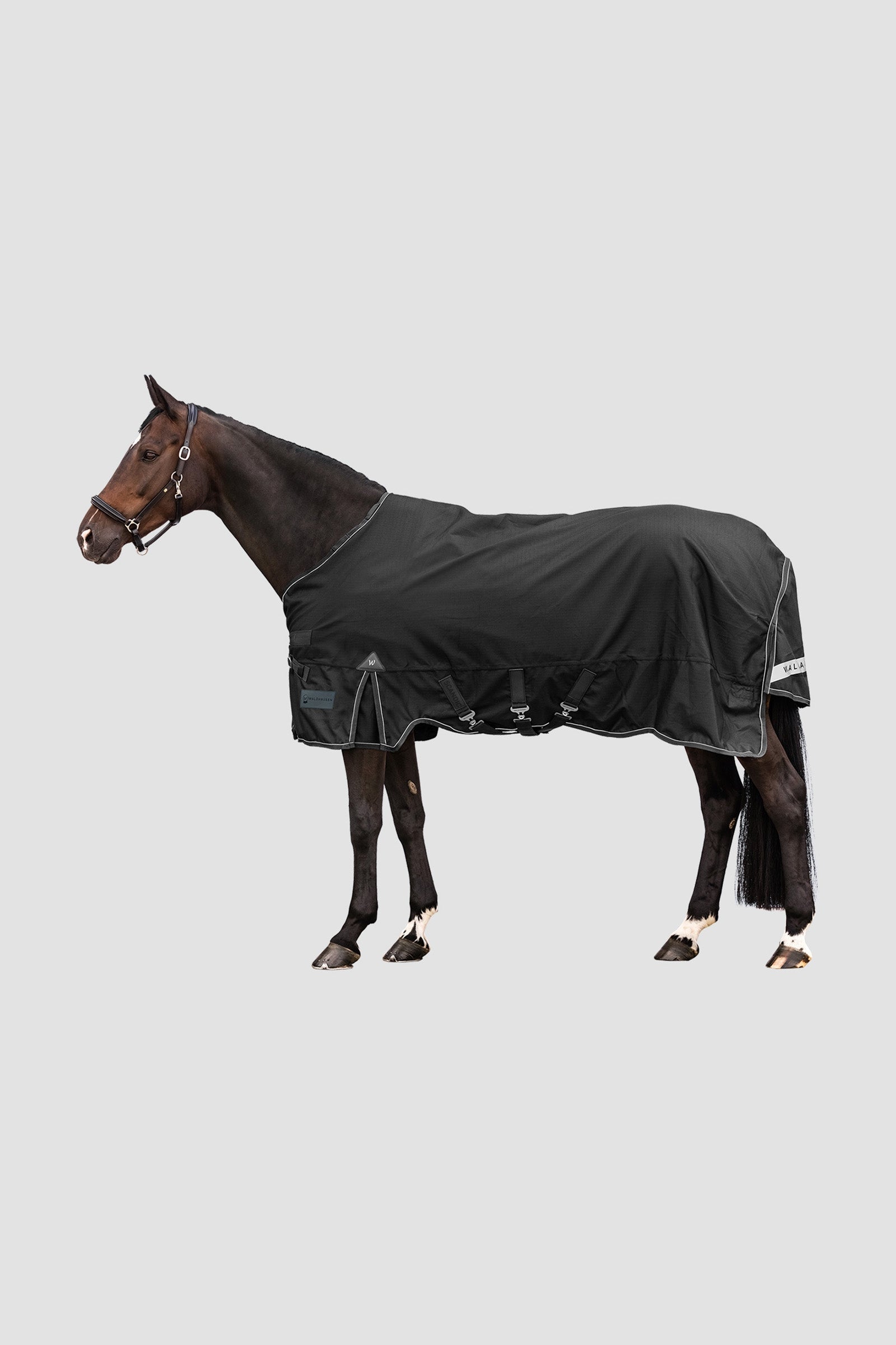 Waldhausen Outdoor Rug Scandic 50g Paardendekens