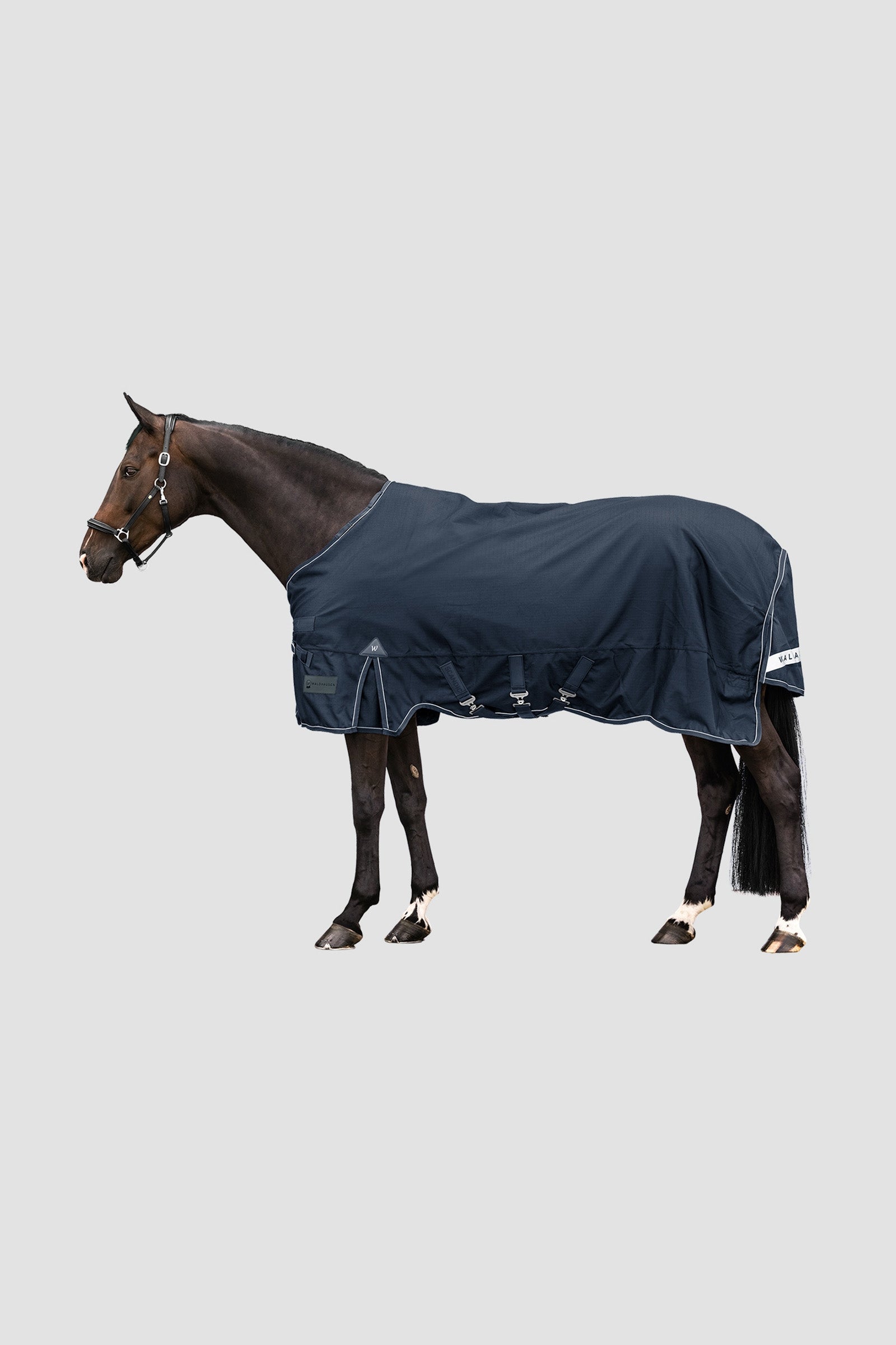 Waldhausen Outdoor Rug Scandic 50g Paardendekens