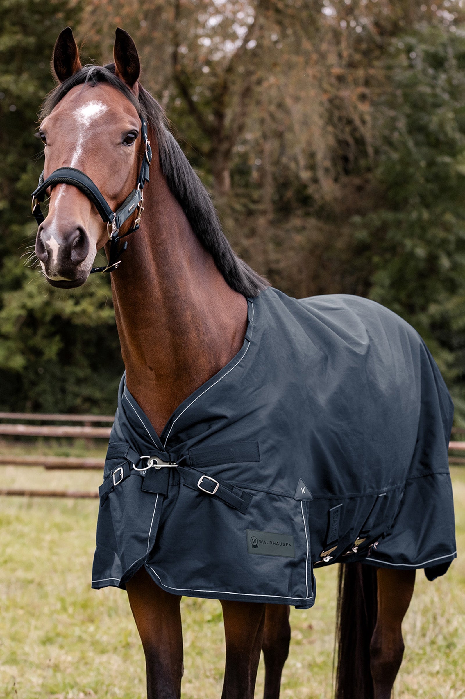 Waldhausen Outdoor Rug Scandic 50g Horse Rugs