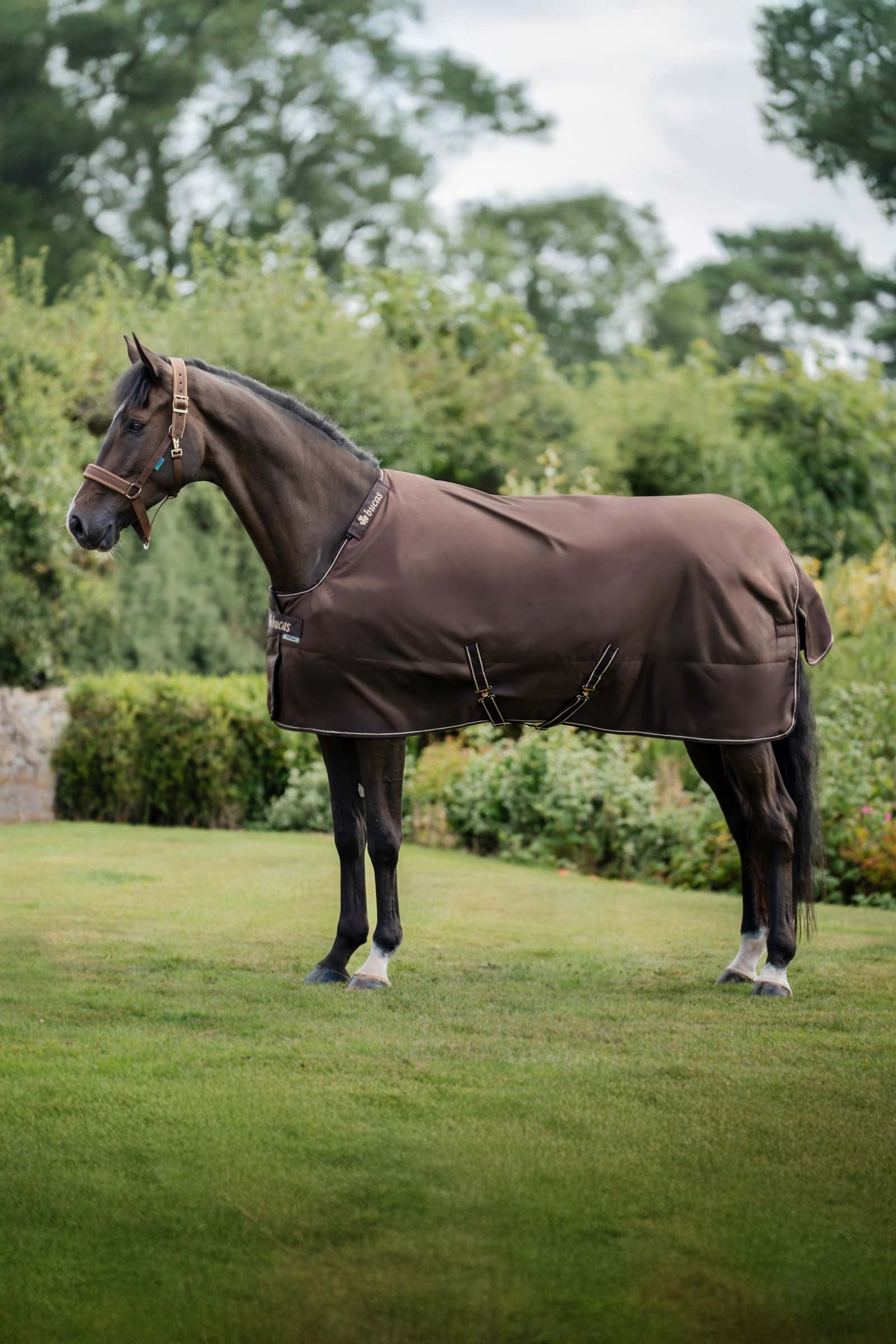 Bucas Irish Turnout Rug, 300 g & Neck Set Paardendekens