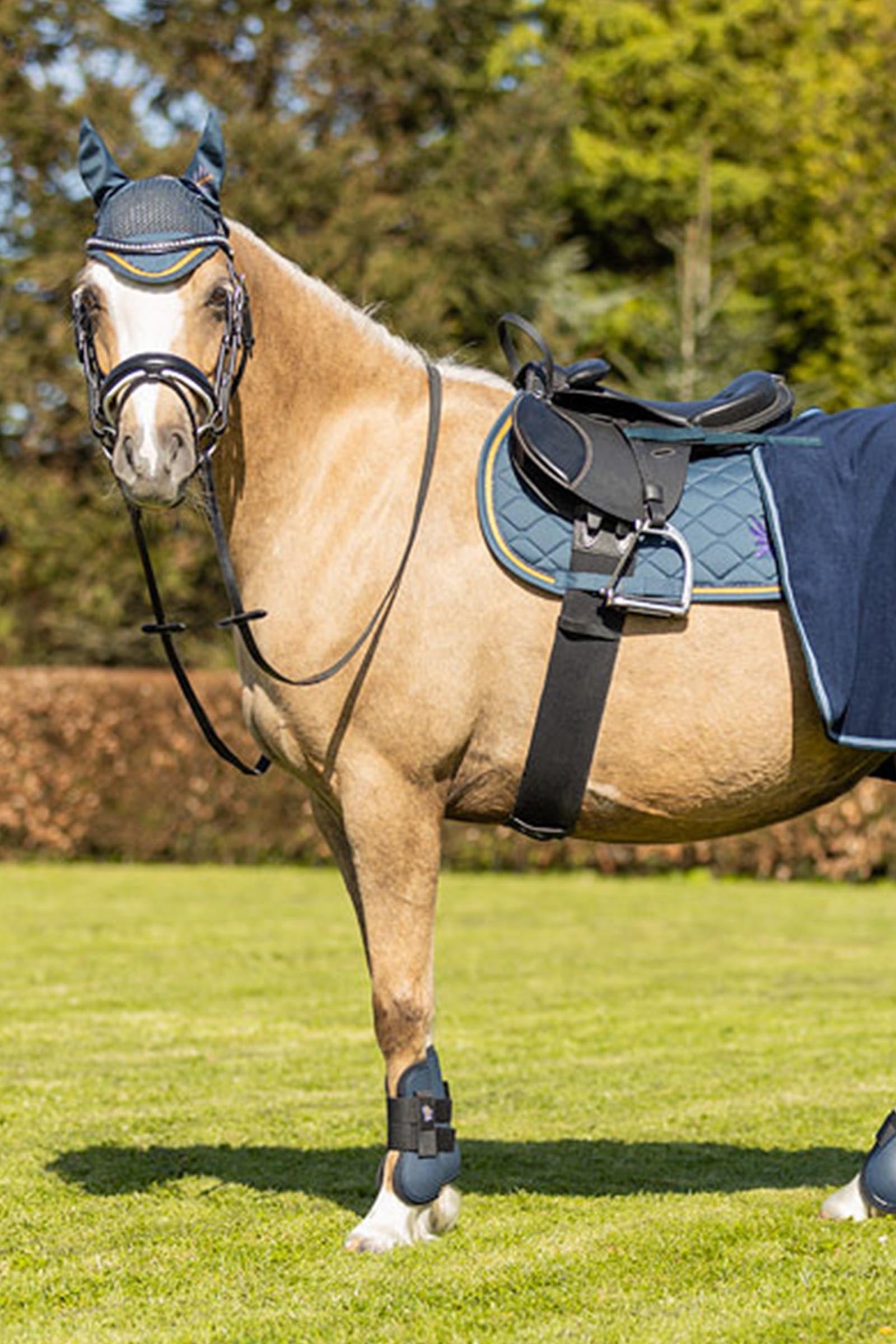 BR Pony Tendon Boots Leg & Hoof Protection