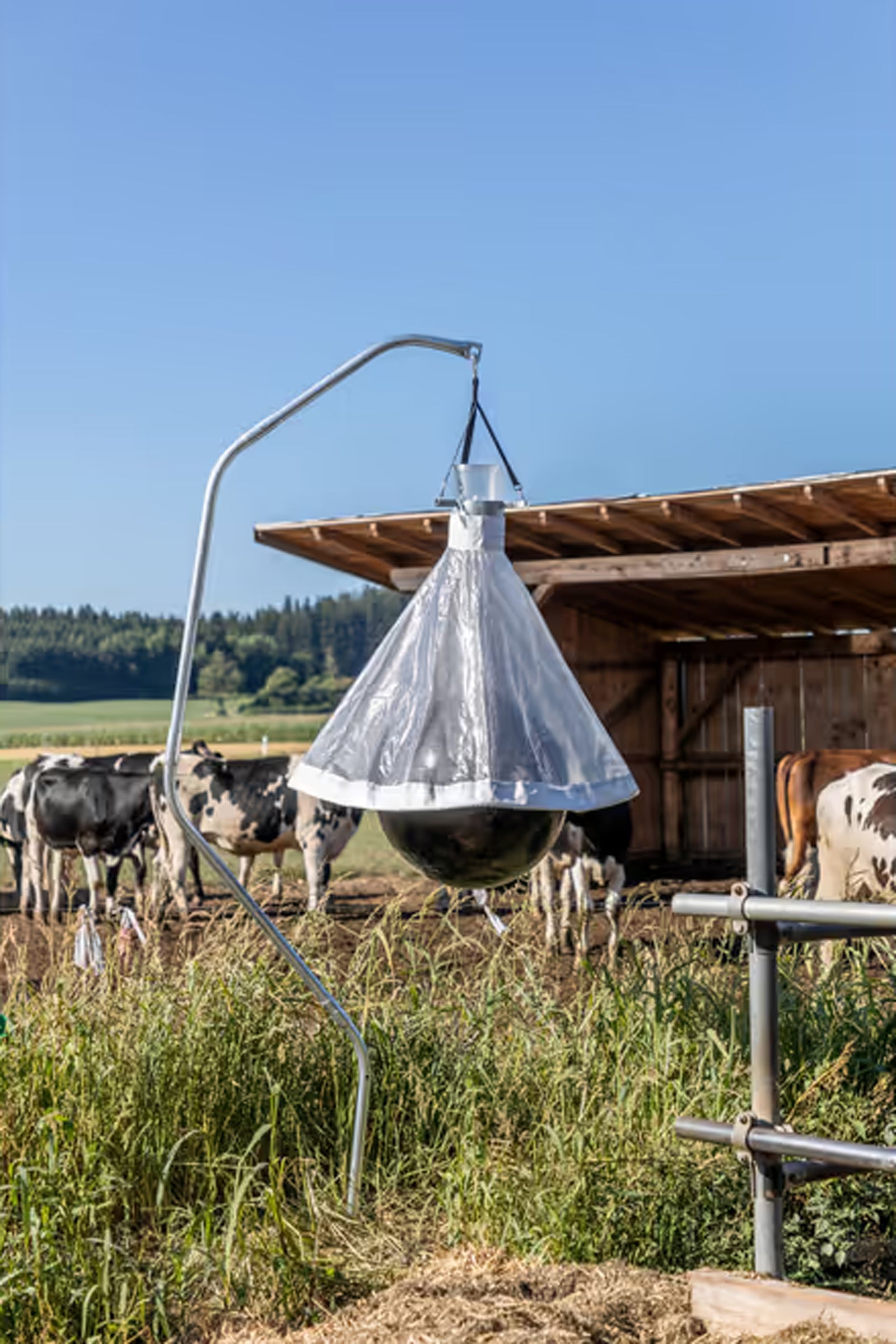 Kerbl Gadfly trap TaonX Antifly Protection for Horses