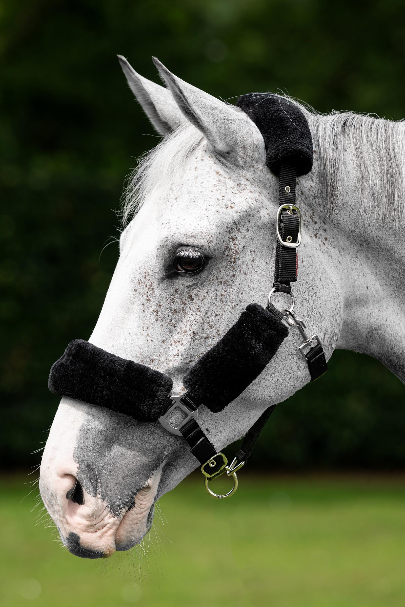 Lifestyle shot 1