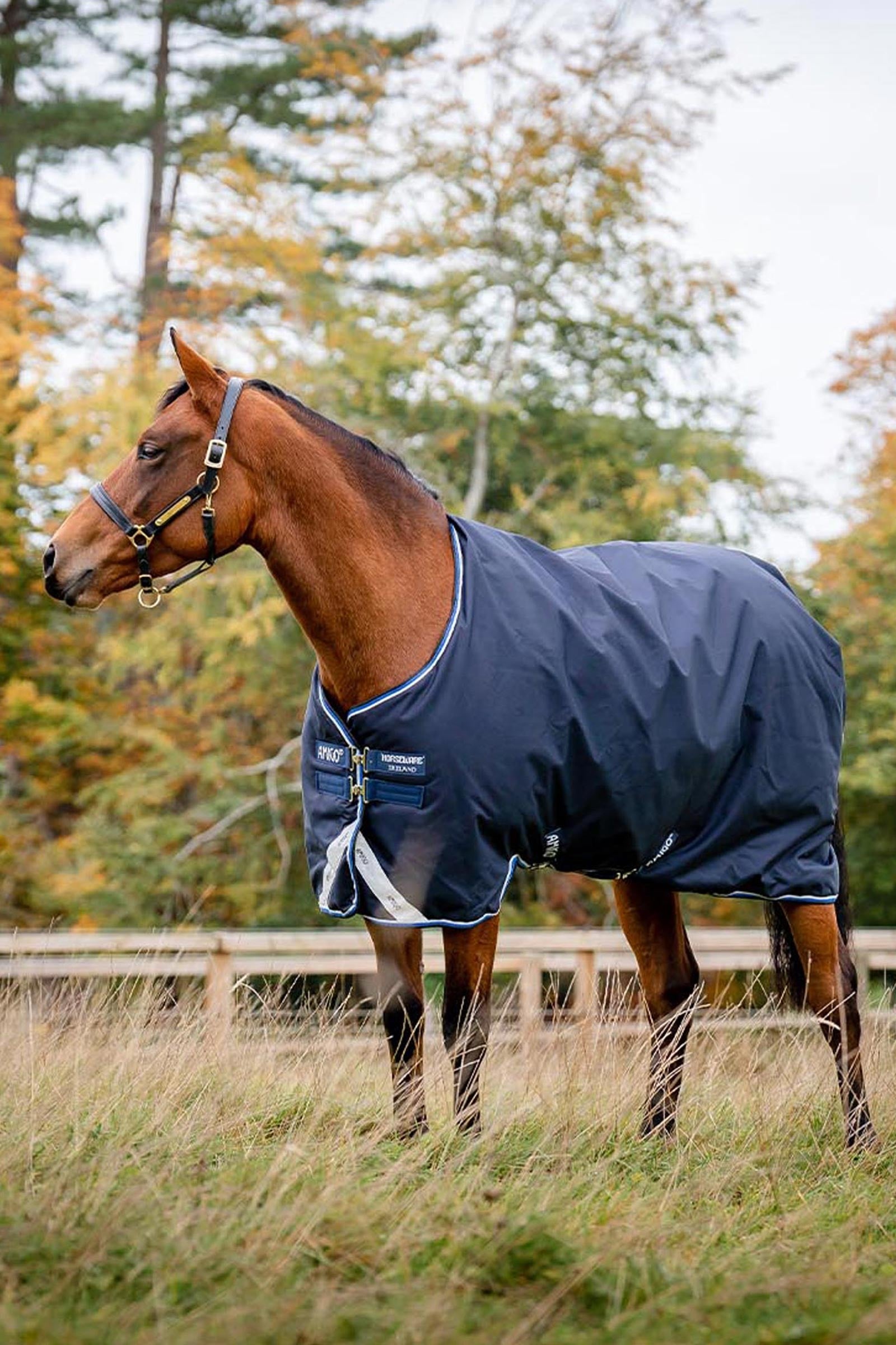 Horseware Amigo Bravo 12 Original outdoordeken, 250g Paardendekens