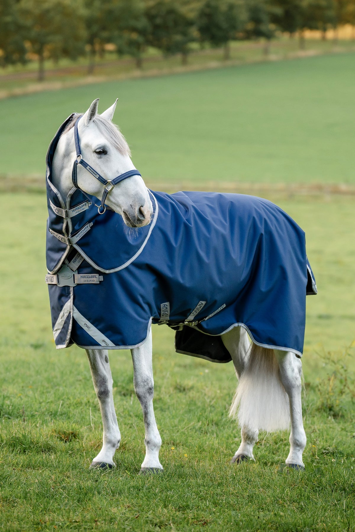 Horseware Amigo 1200D FieldSafe Plus couverture d’extérieur avec couvre-cou amovible, 50 g Couvertures cheval