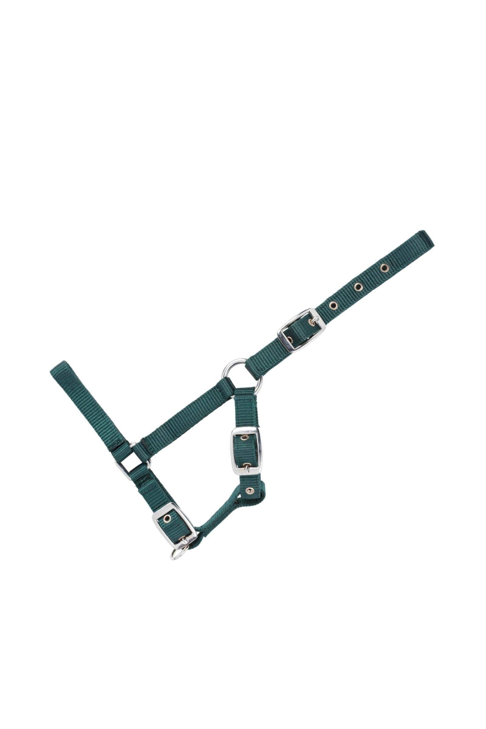 USG Adjustable Foal Halter Halsters & Halstertouwen