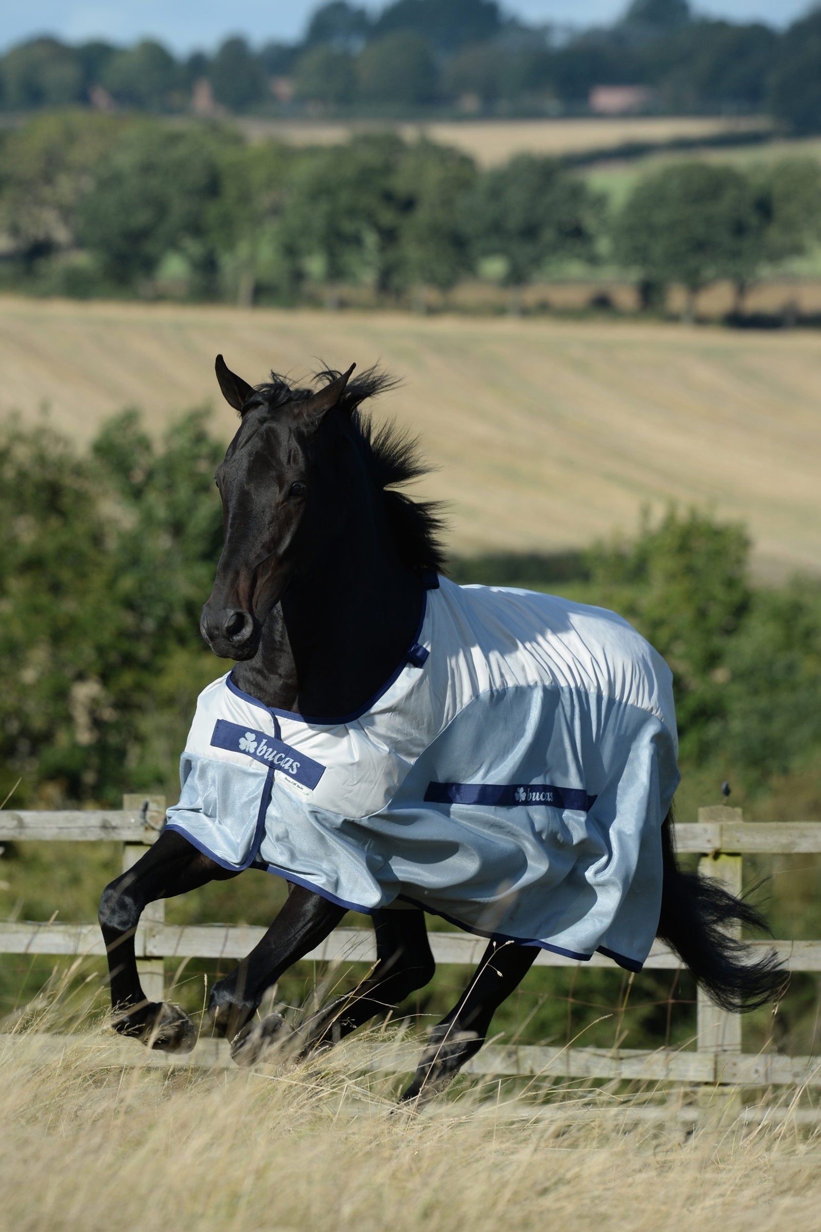 Bucas Buzz-off Rain Fly & Rug with Removable Neck Horse Rugs