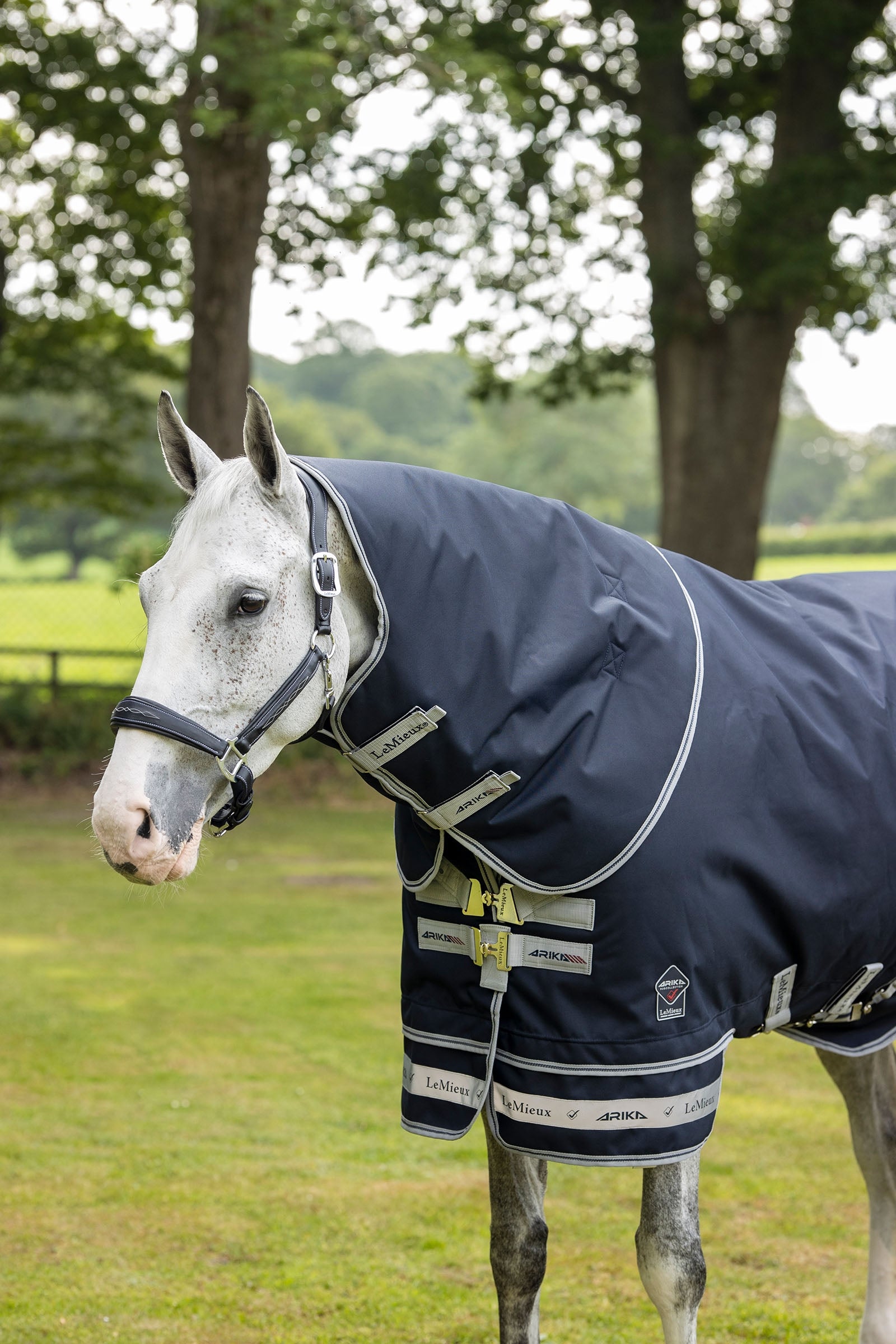 LeMieux Arika Featherweight Turnout Rug, 0 g Horse Rugs