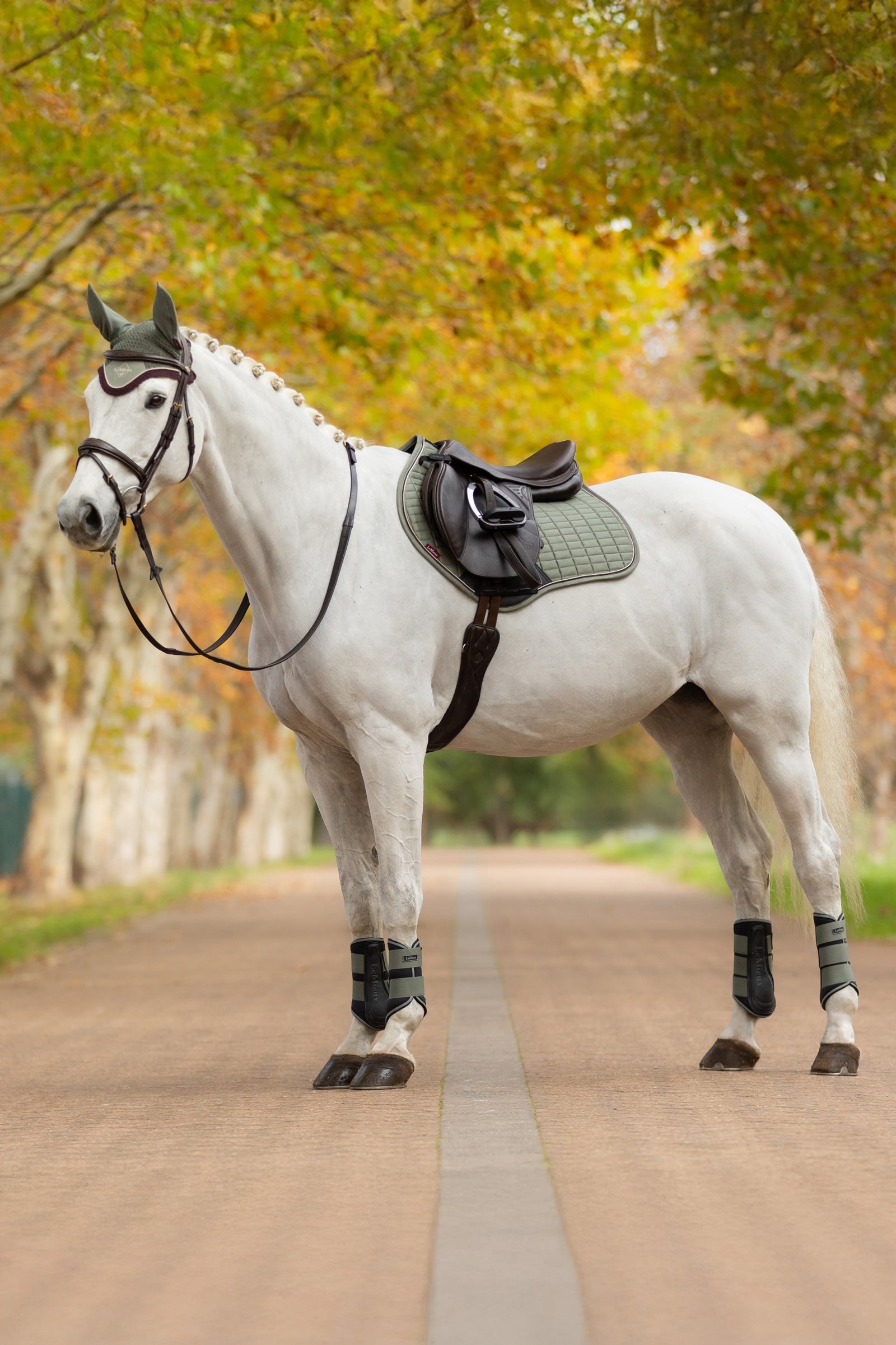 LeMieux Suede Square Close Contact Saddle Pad Saddle Pads