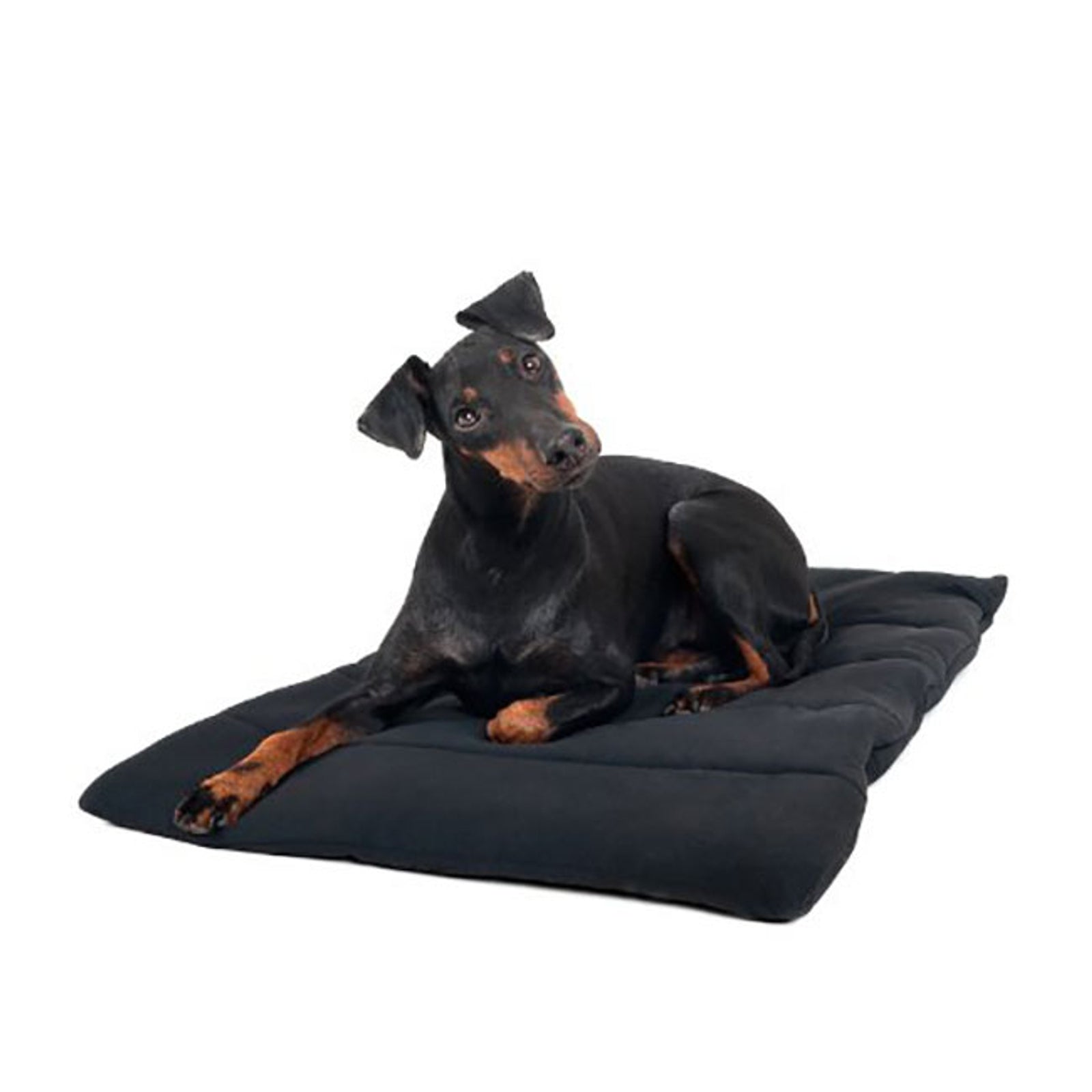 Back on Track Hondendeken Hond