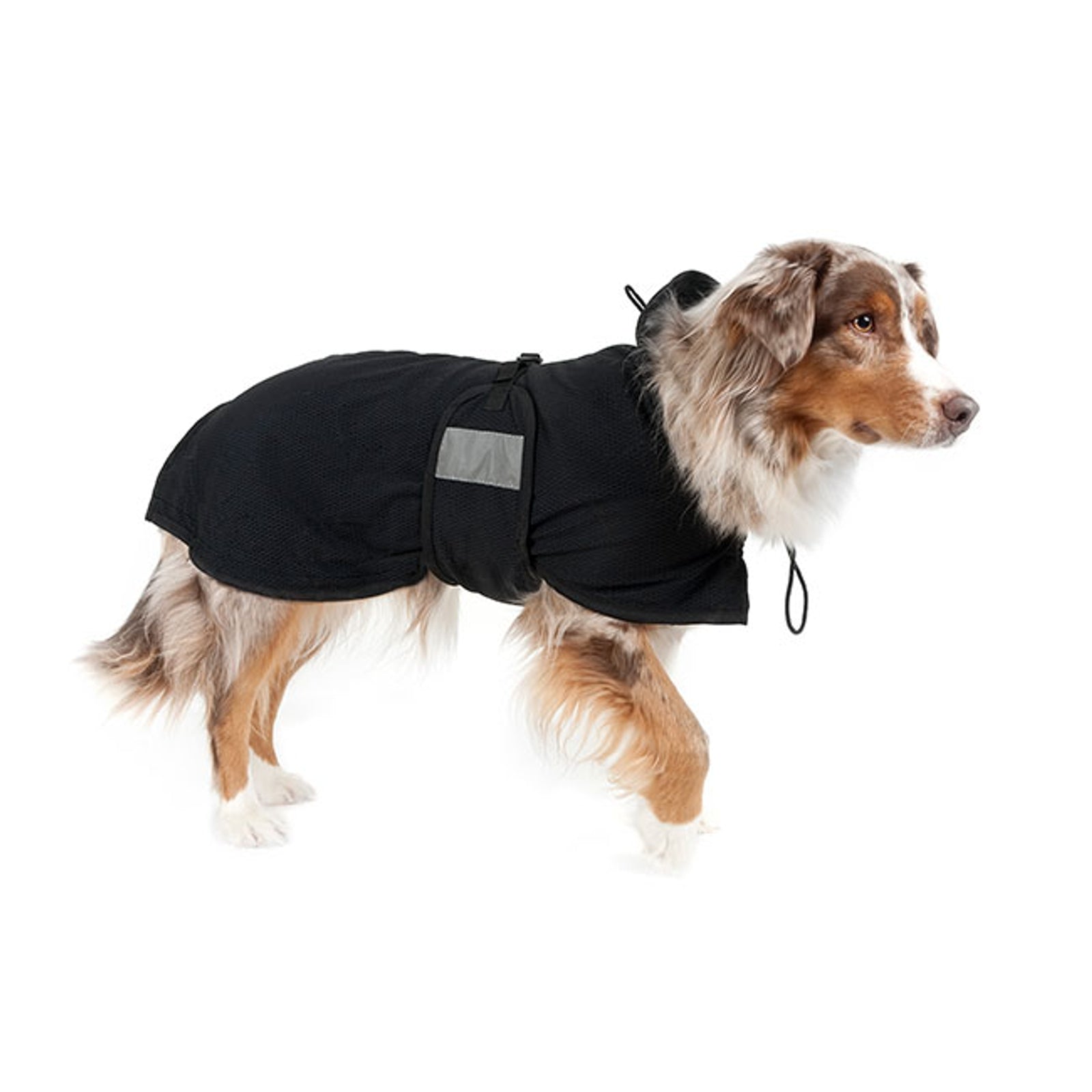 Back on Track Teckel Gaasdeken Hond