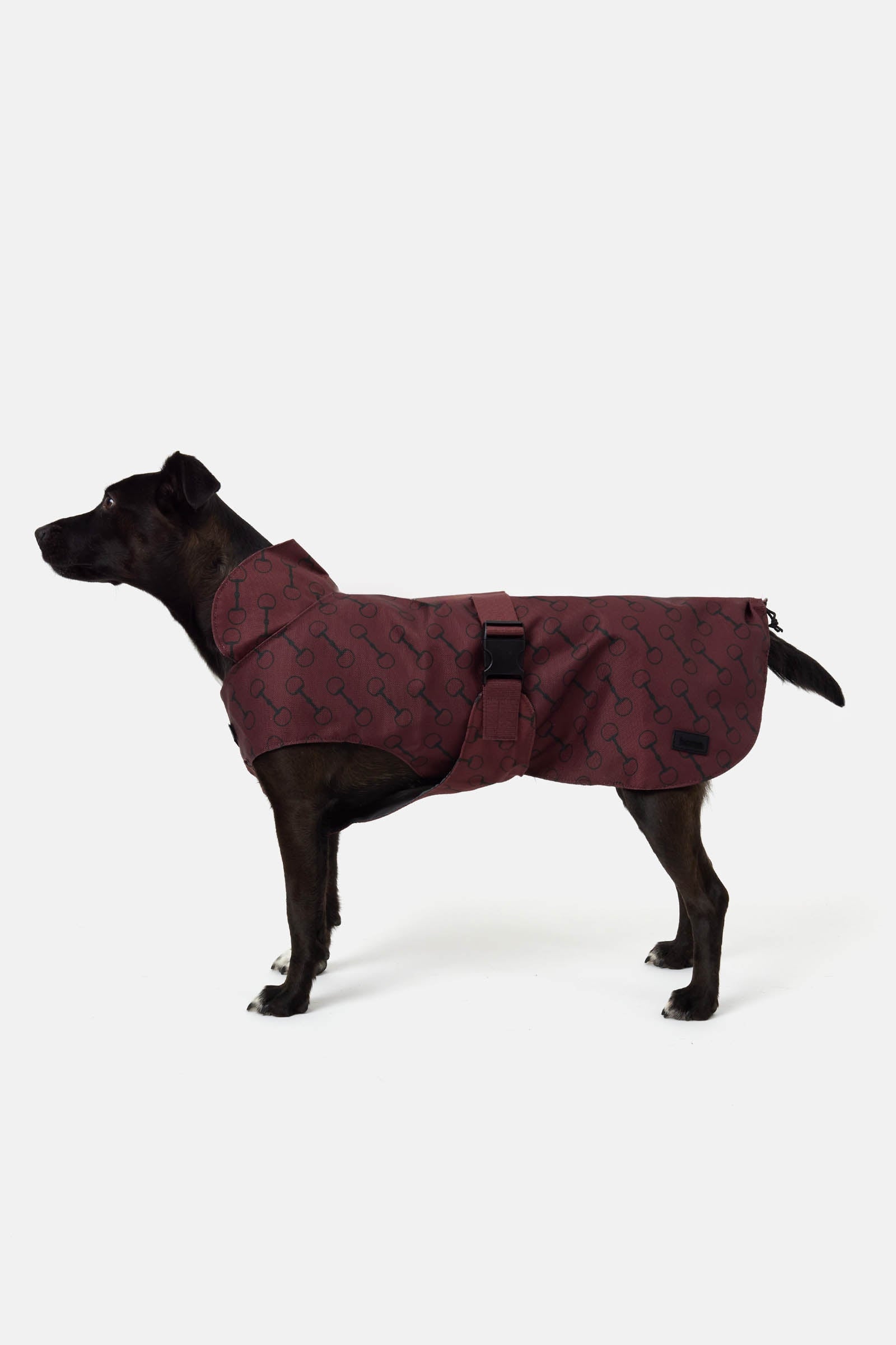 Horze Noir Dog Coat with Print Dog Accesories