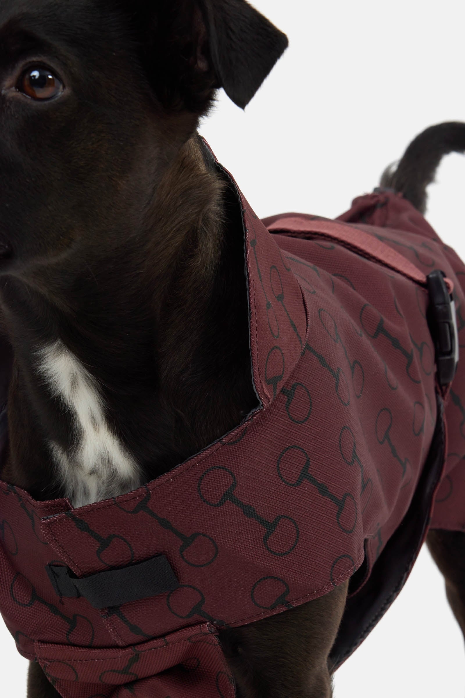 Horze Noir Dog Coat with Print Dog Accesories