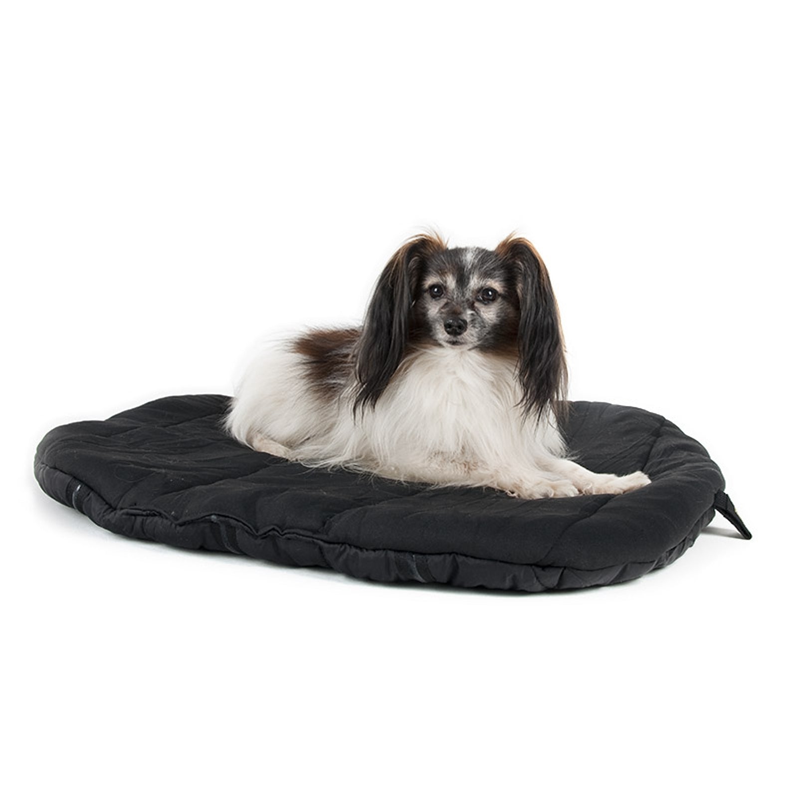 Back on Track Reismatras Hond Hond