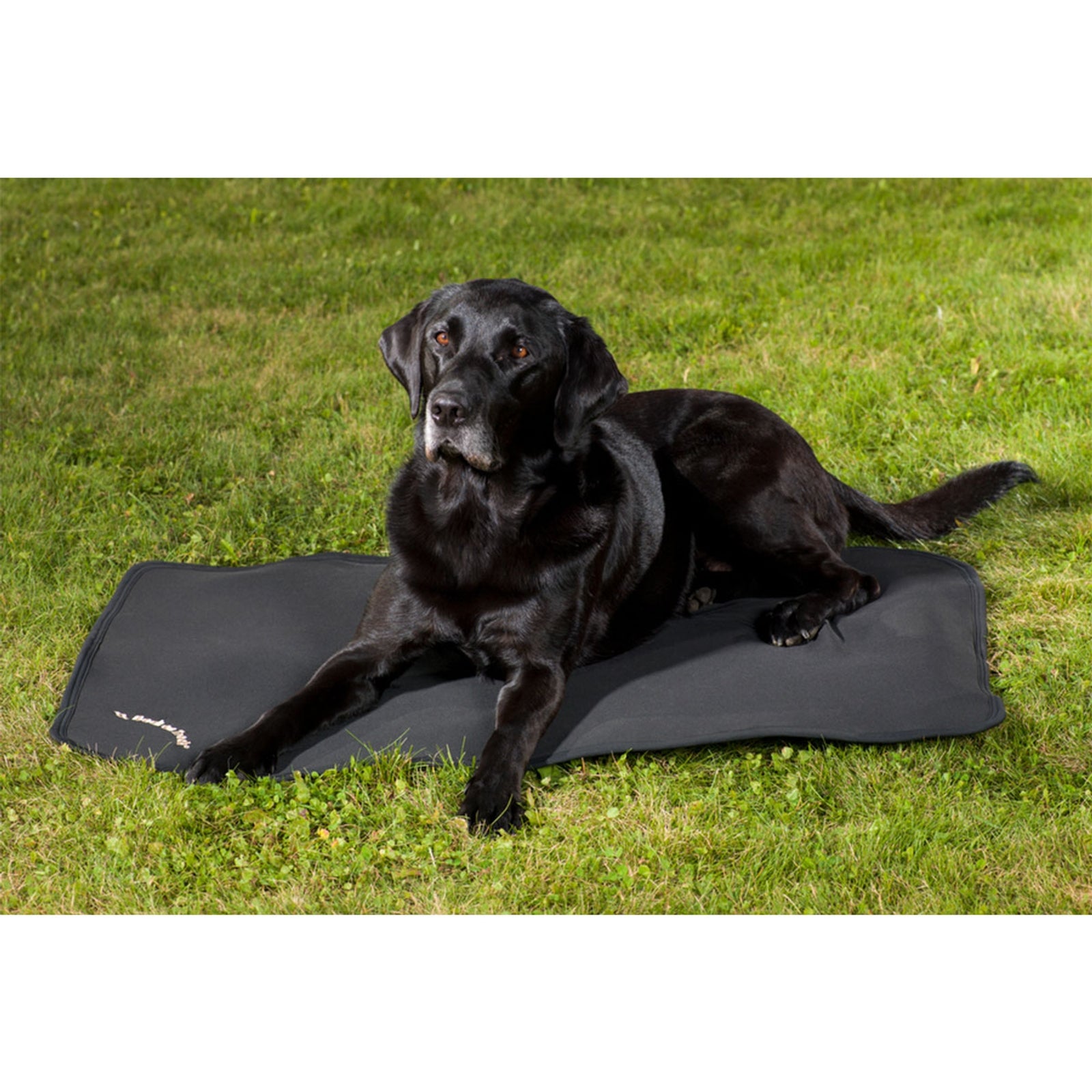 Back on Track Hondenmatras Kooi, 100x68 Hond