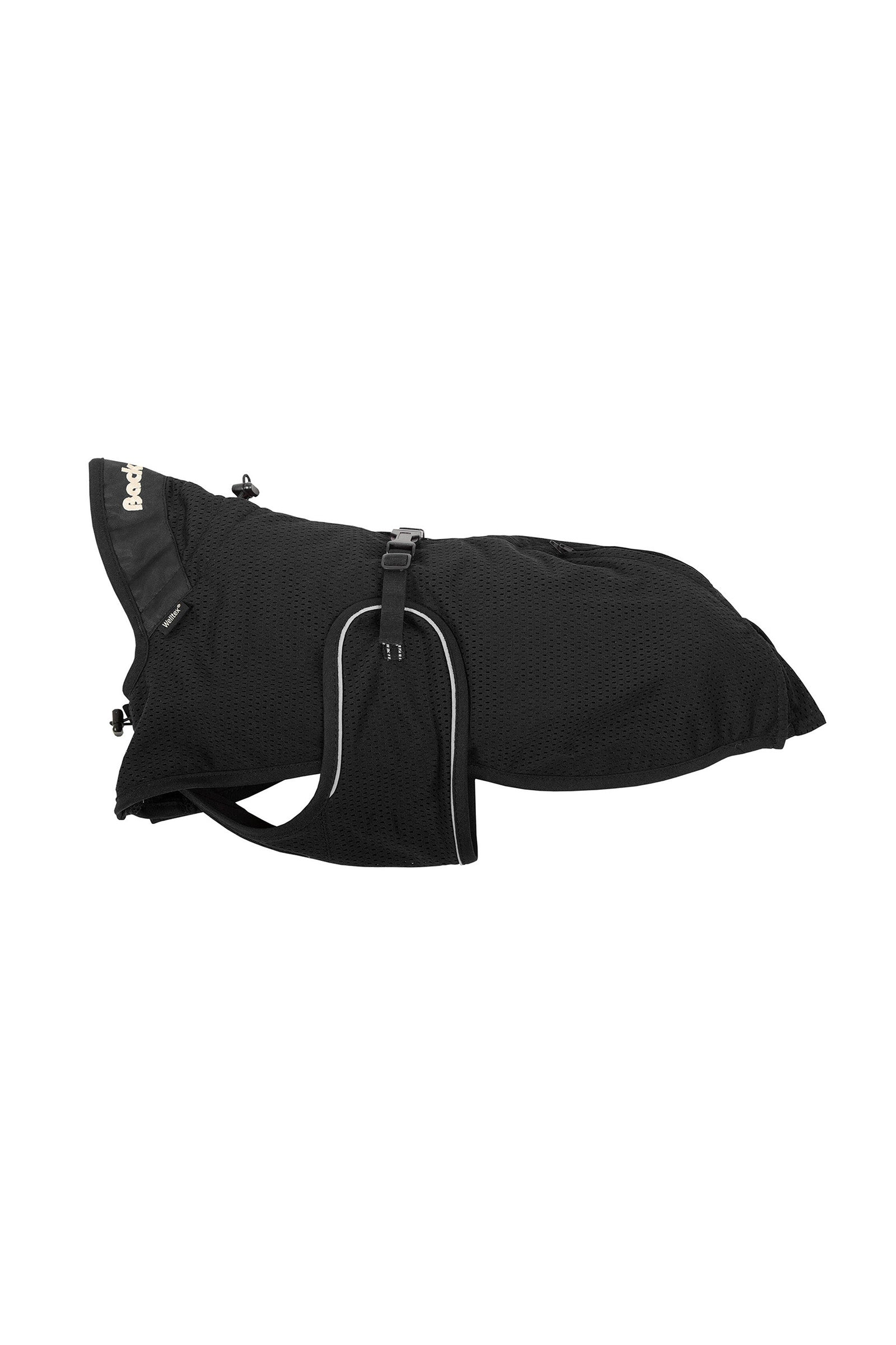 Back on Track Maasdeken Hond Hond