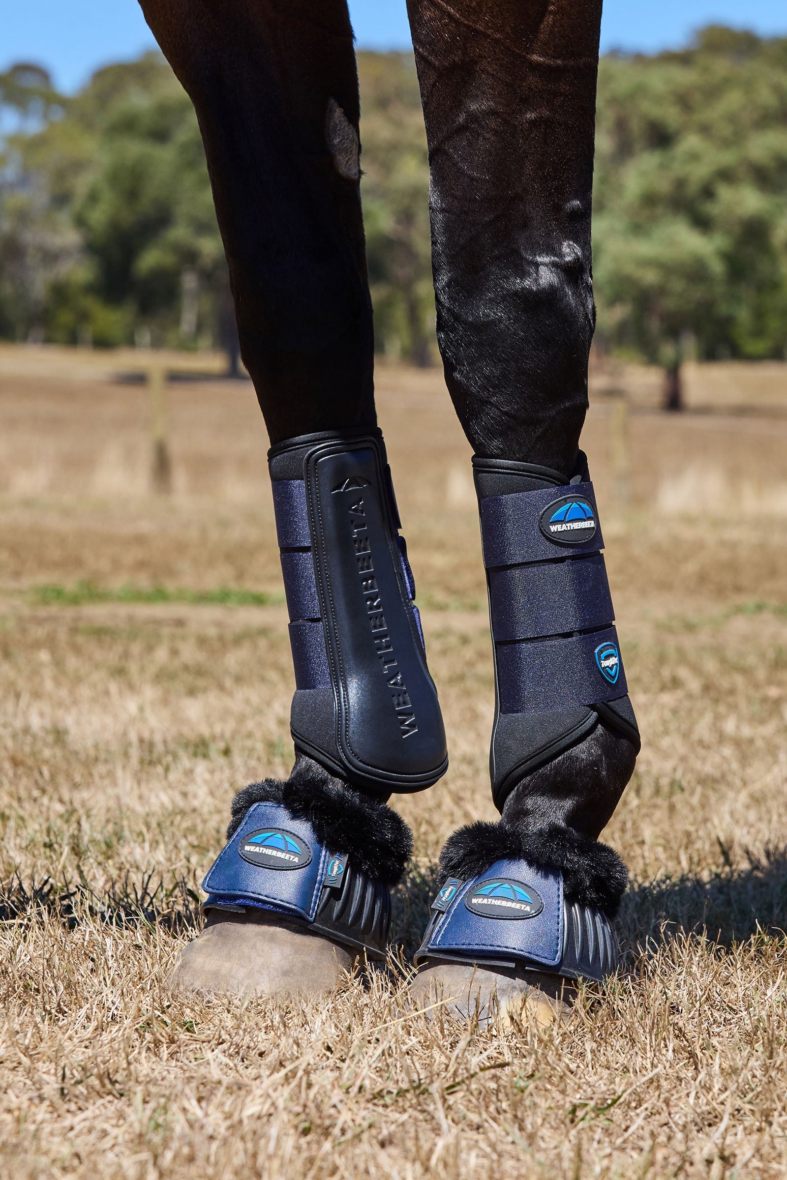 Weatherbeeta Tough-Tec Prime Brushing Boots Leg Protection & Hoof Protection for Horses