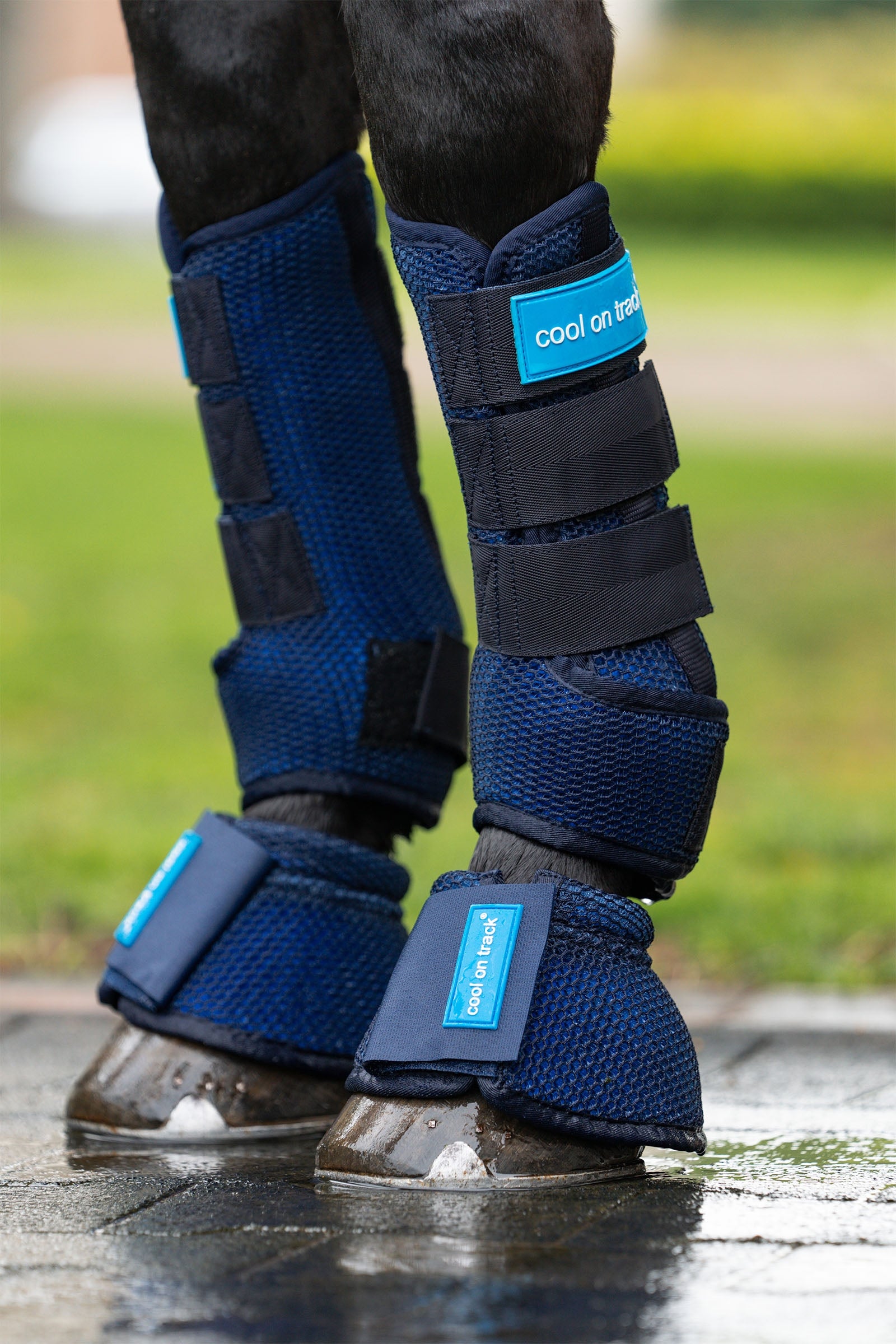 Back on Track Cool on Track Quick wraps Leg Protection & Hoof Protection for Horses