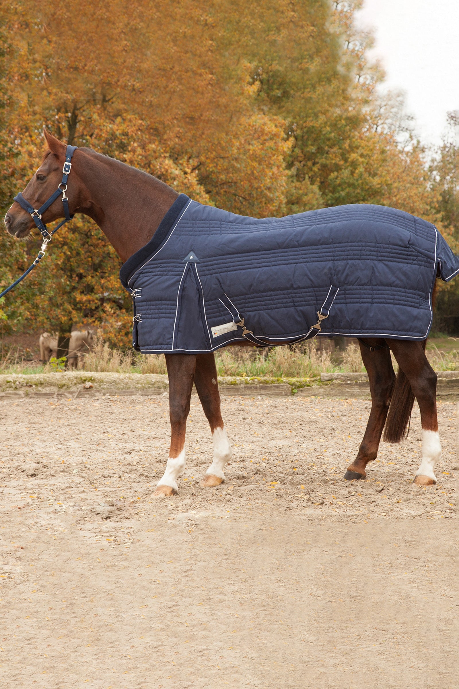 Waldhausen Stable Rug Comfort Line 200g Paardendekens