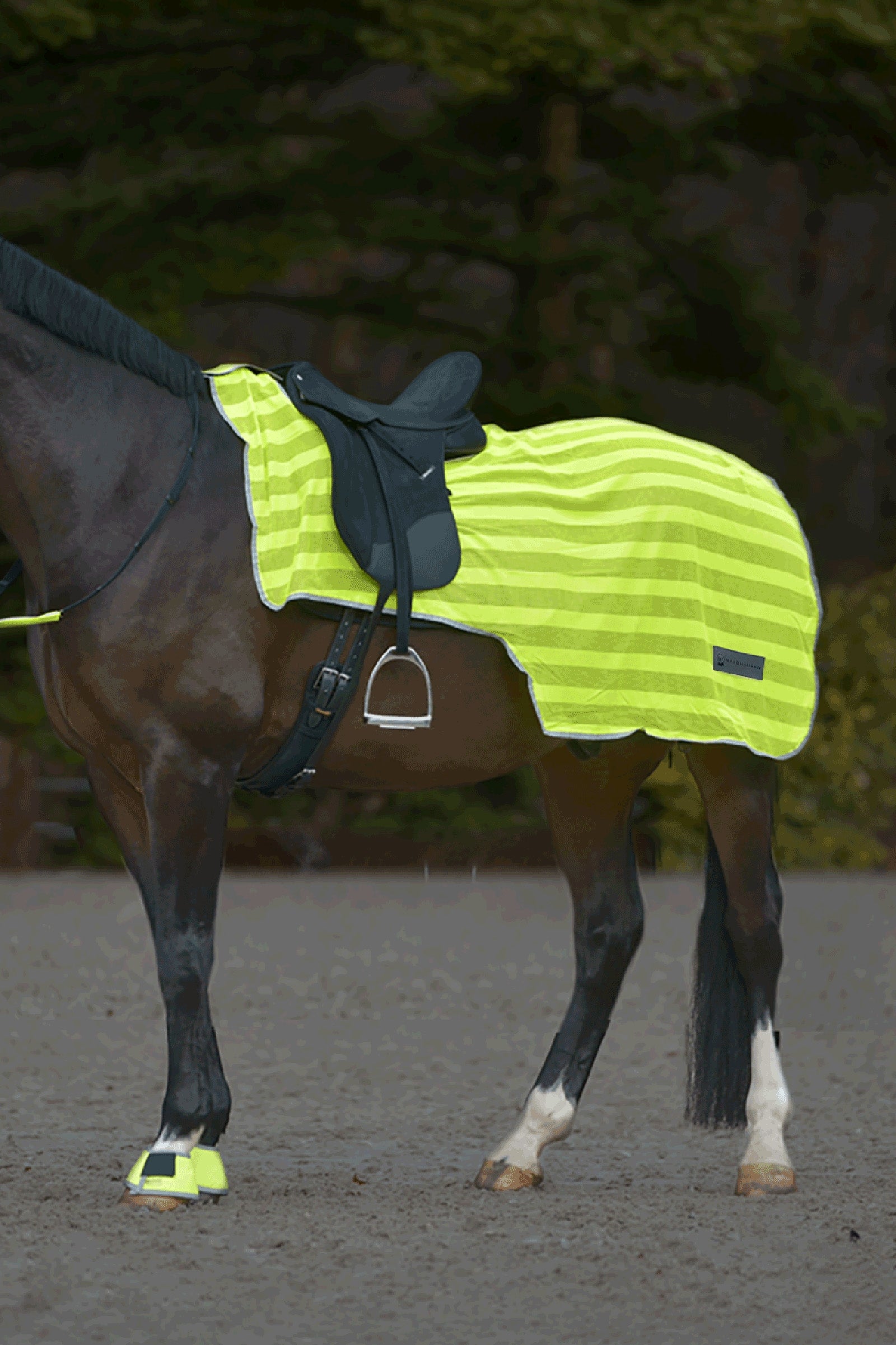 Waldhausen REFLEX Excercise Rug Reflective
