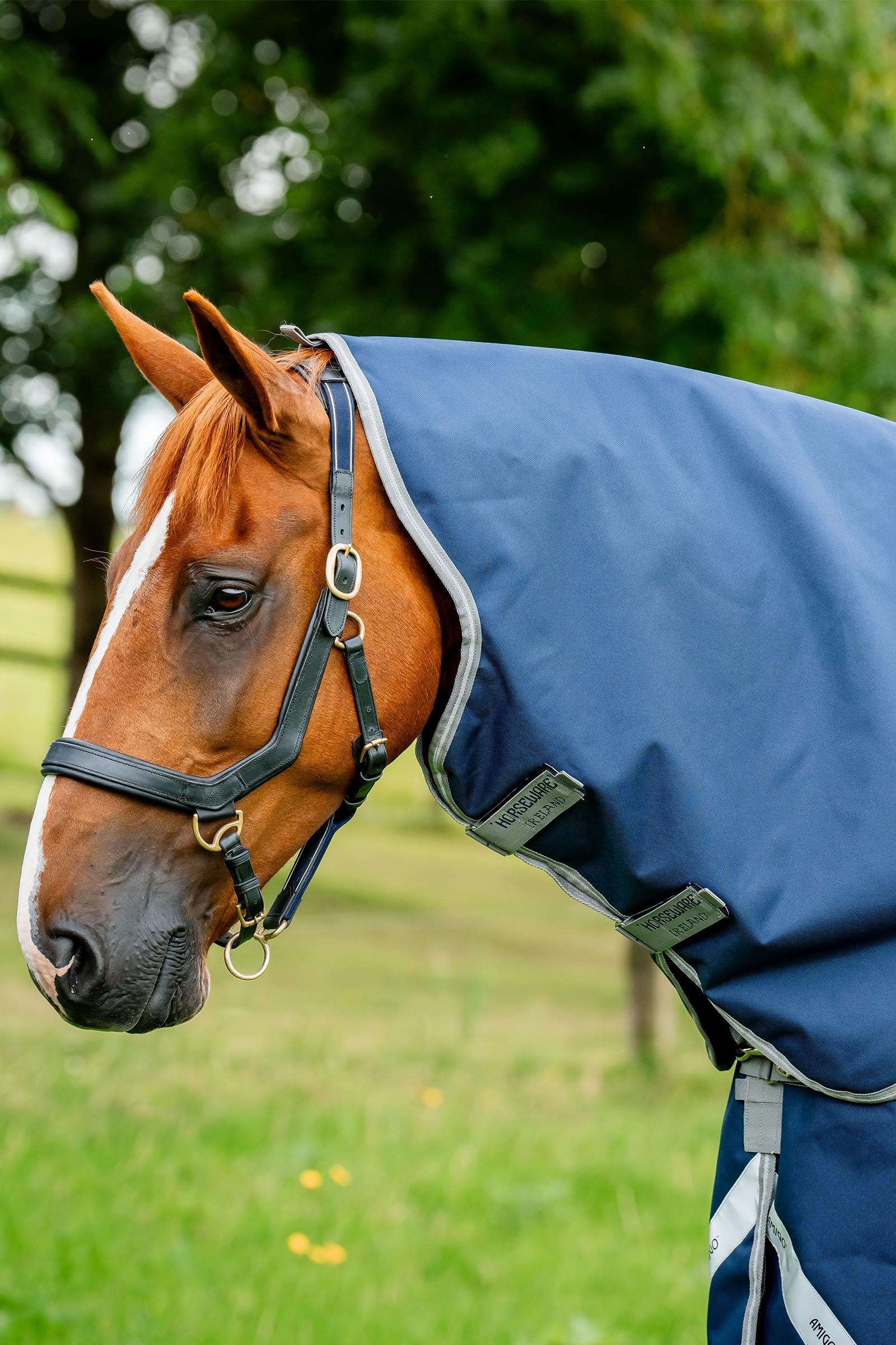Horseware Amigo Bravo 12 Halsdeel 0g Paardendekens