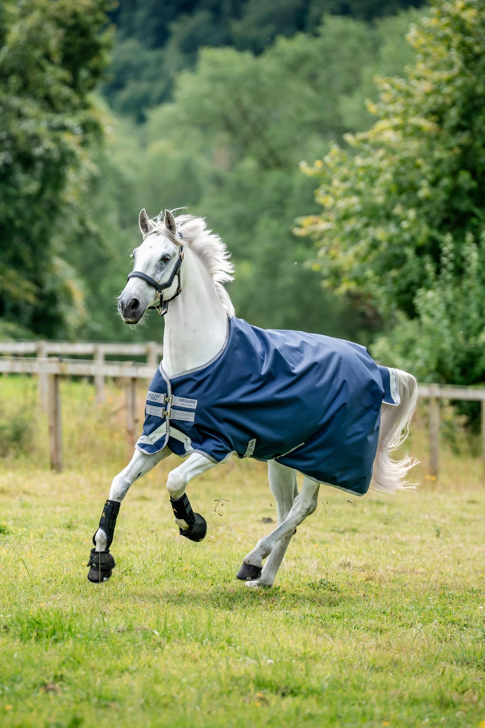 Horseware Amigo Bravo 12 Turnout Rug, 100g Horse Rugs