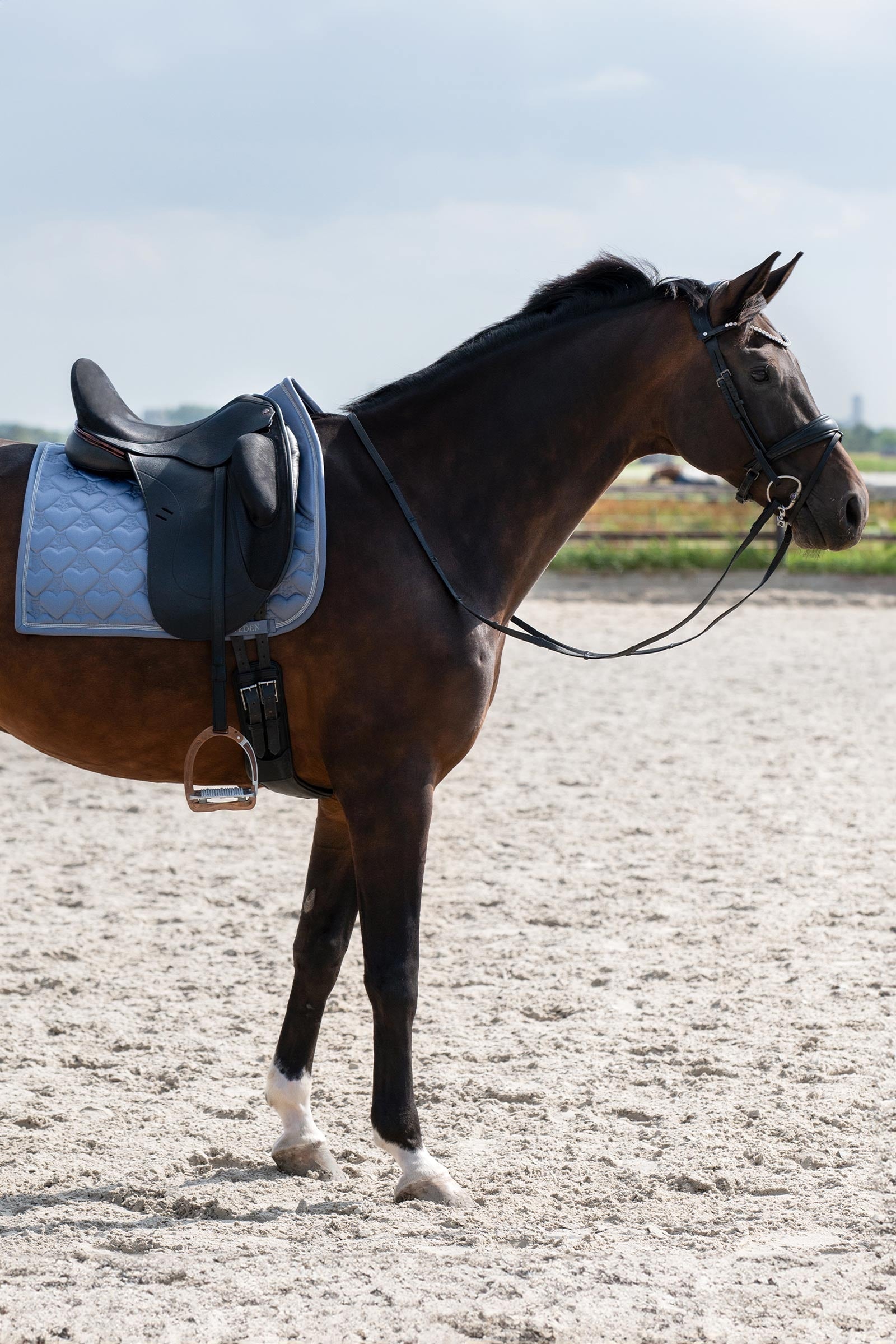 PS of Sweden Heart Dressage Saddle Pad Saddle Pads