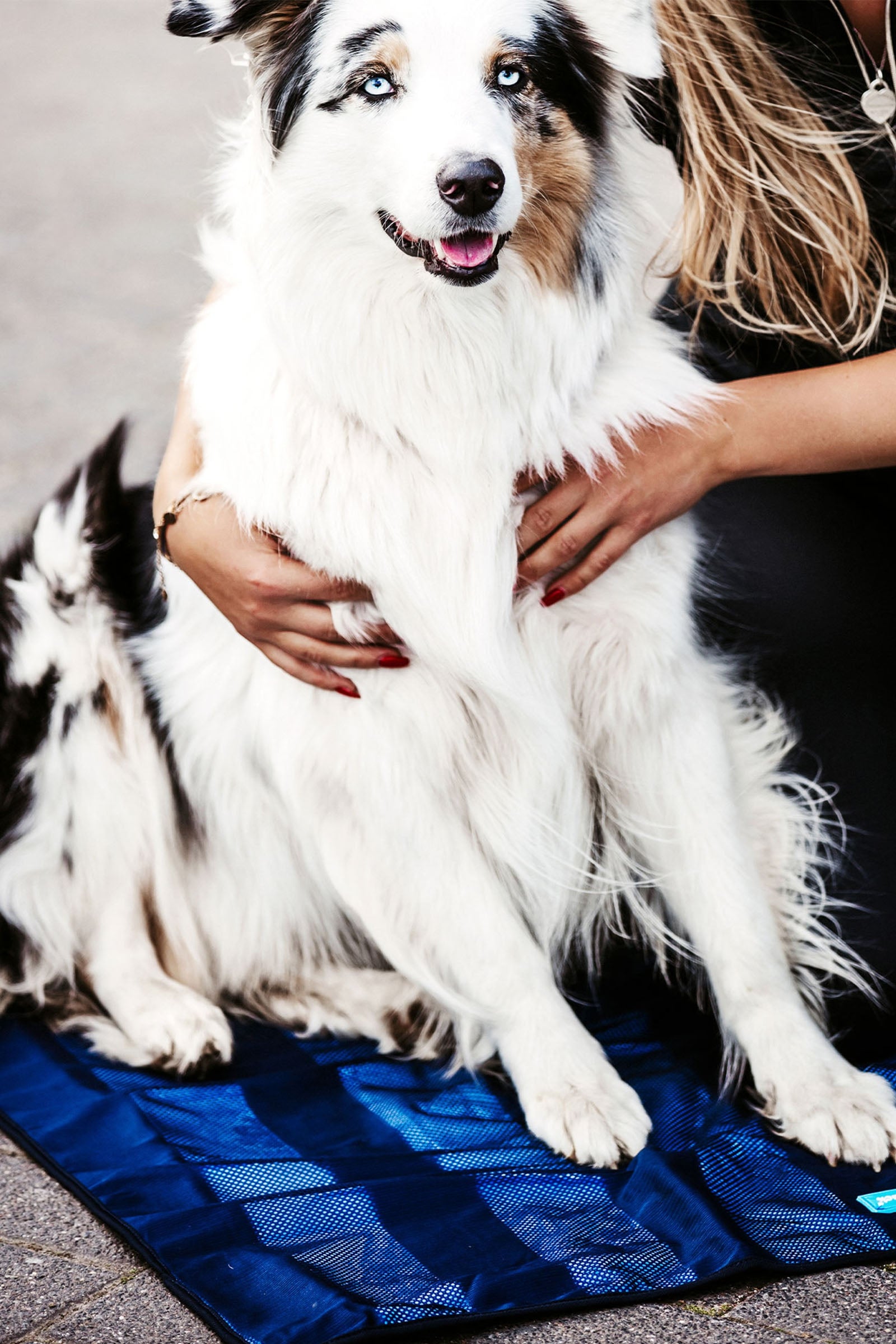 Back on Track Cooling Mat Dog Accesories