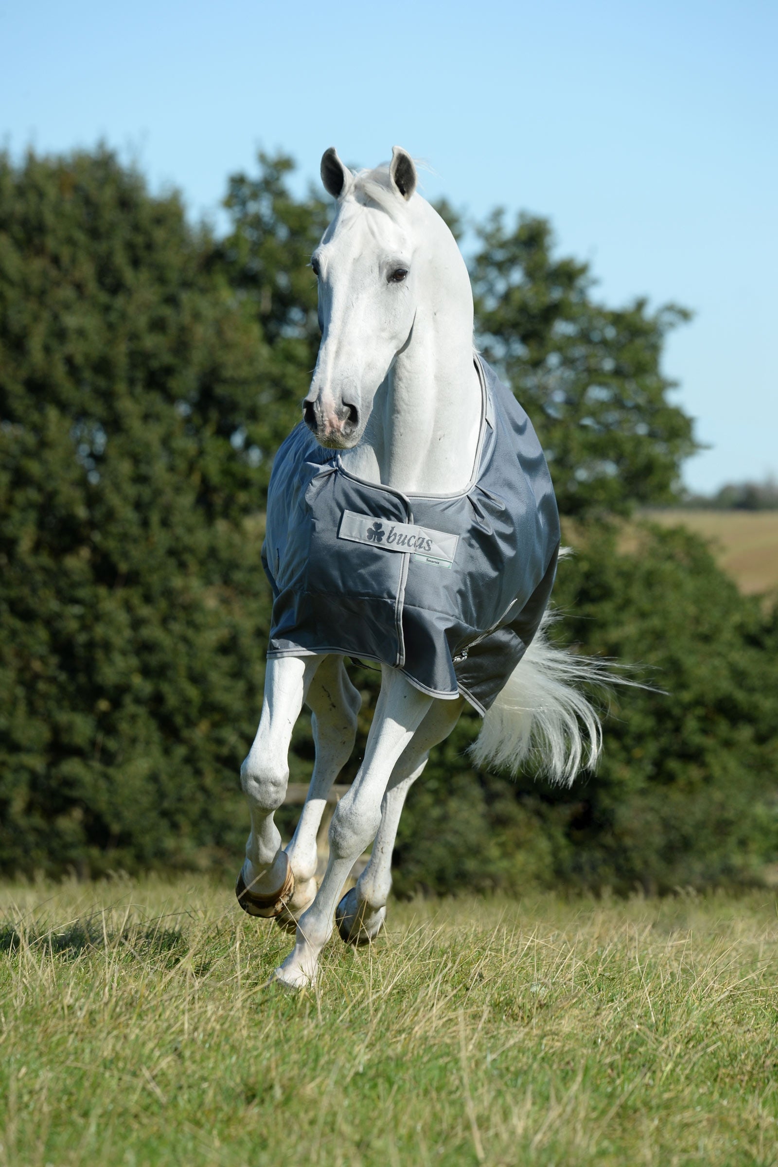 Bucas Smartex Medium outdoordeken, 150g Paardendekens