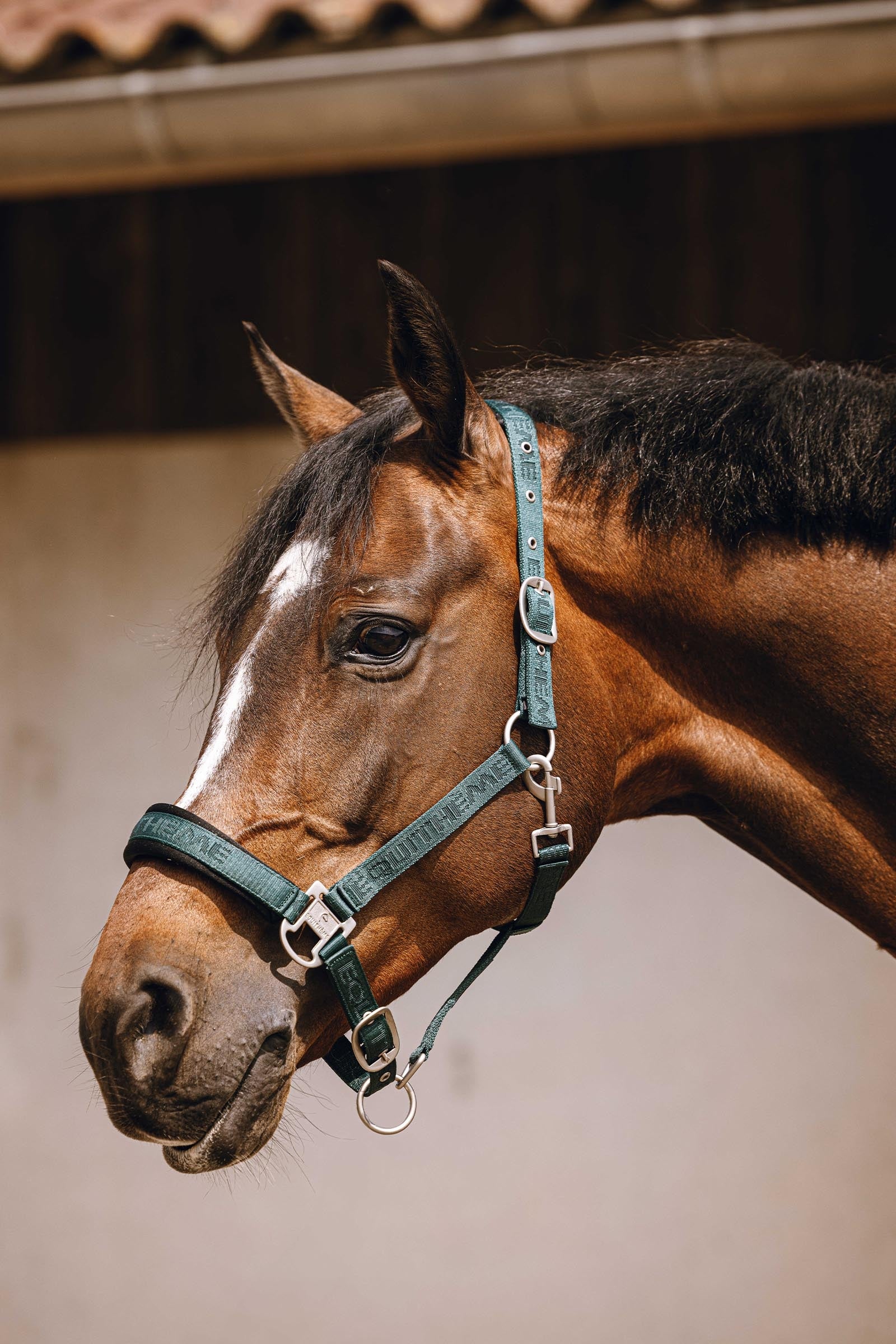 EQUITHÈME Jacquard Nylon Halter Halters & Leads