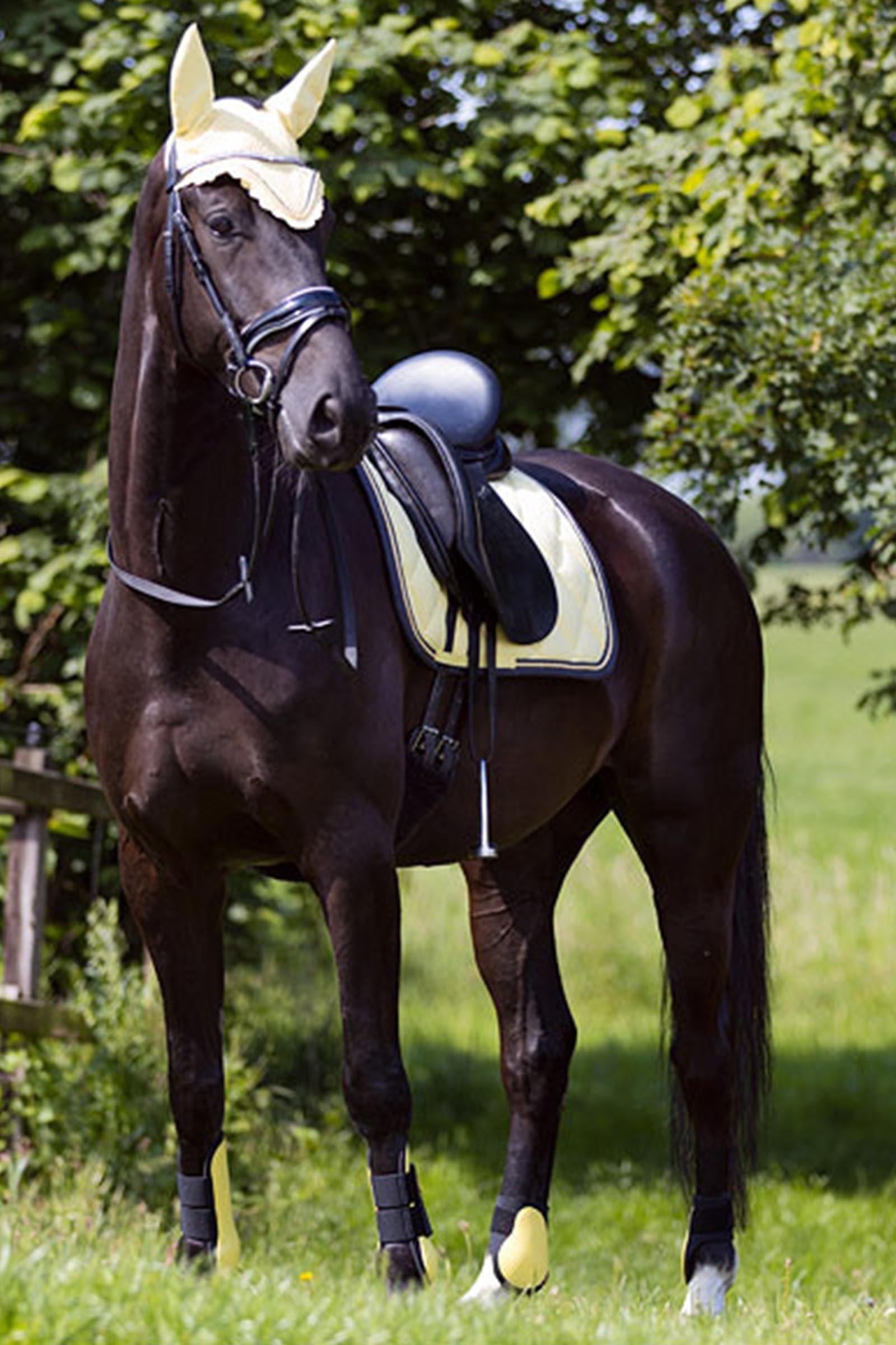 BR Event Non-Elastic Fetlock Boots Leg Protection & Hoof Protection for Horses