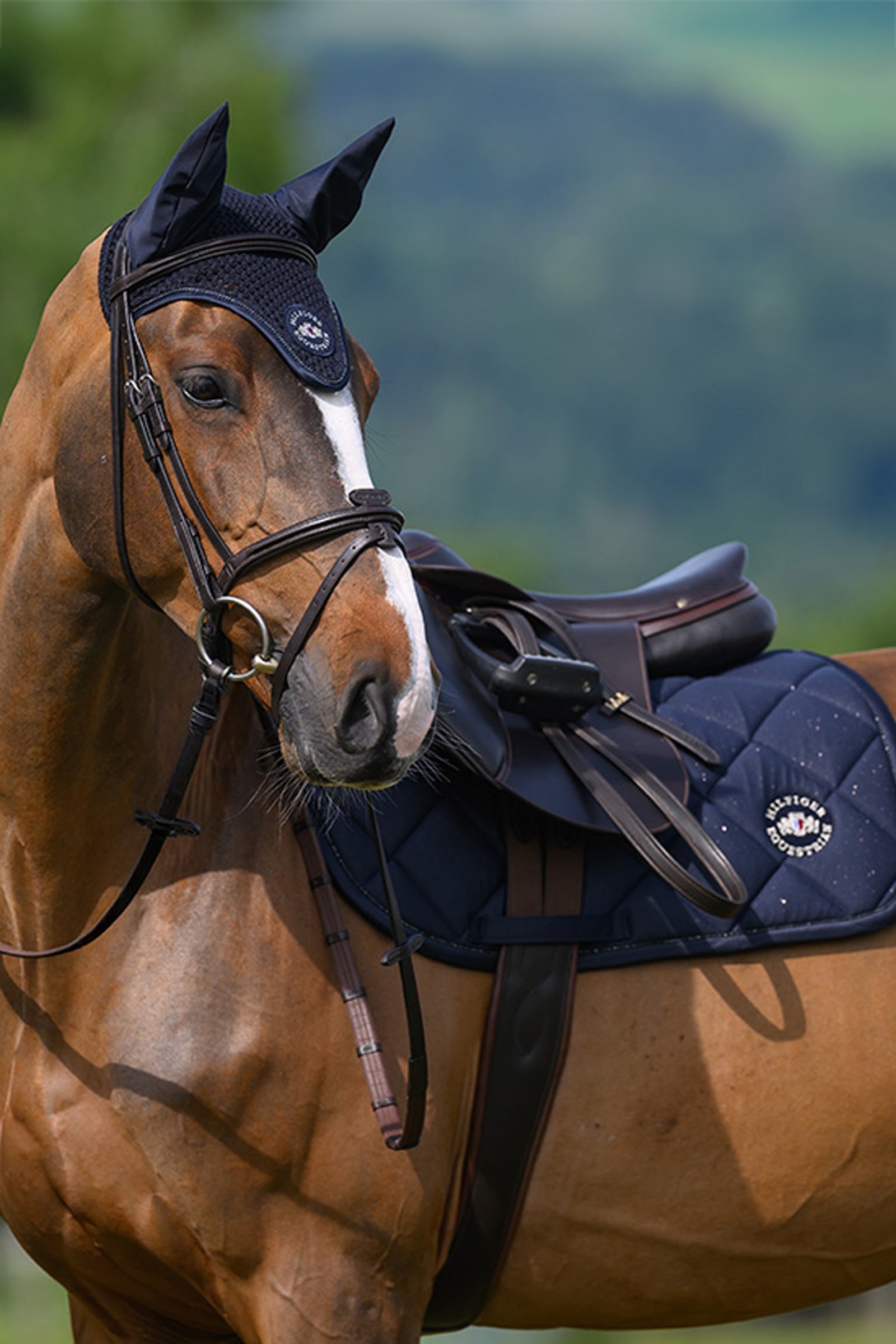 Tommy Hilfiger Equestrian Emory Jumping Saddle Pad Saddle Pads