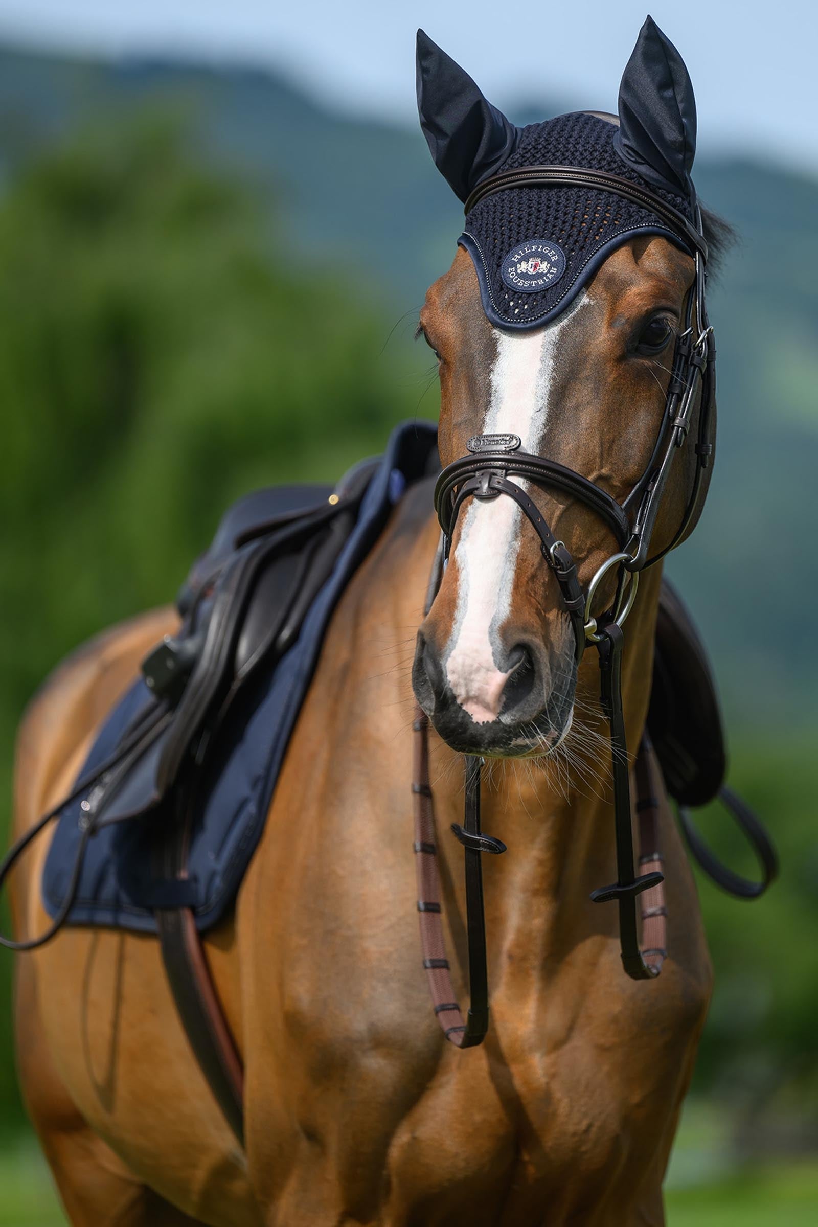 Tommy Hilfiger Equestrian Emory Jumping Saddle Pad Saddle Pads