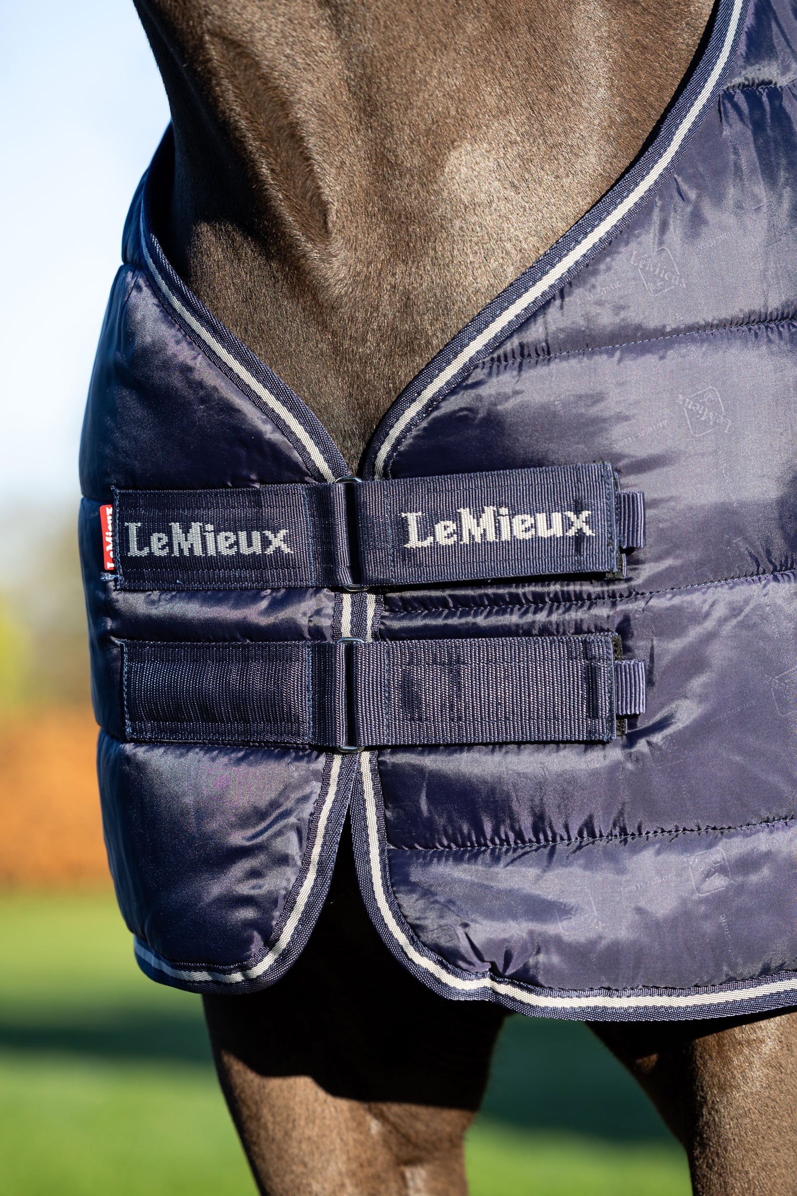 LeMieux Rug Liner, 100g Horse Rugs