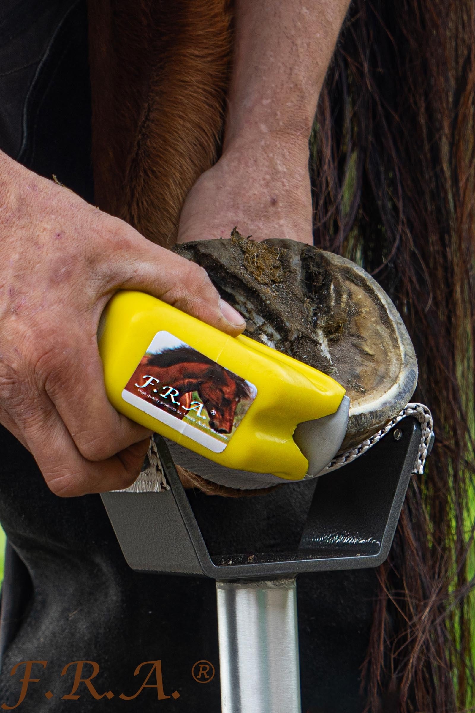 F.R.A. Freedom Riding Articles Simple Rasp, Replacaeble Wrought Iron Blade, Fine Finish Farrier Tools