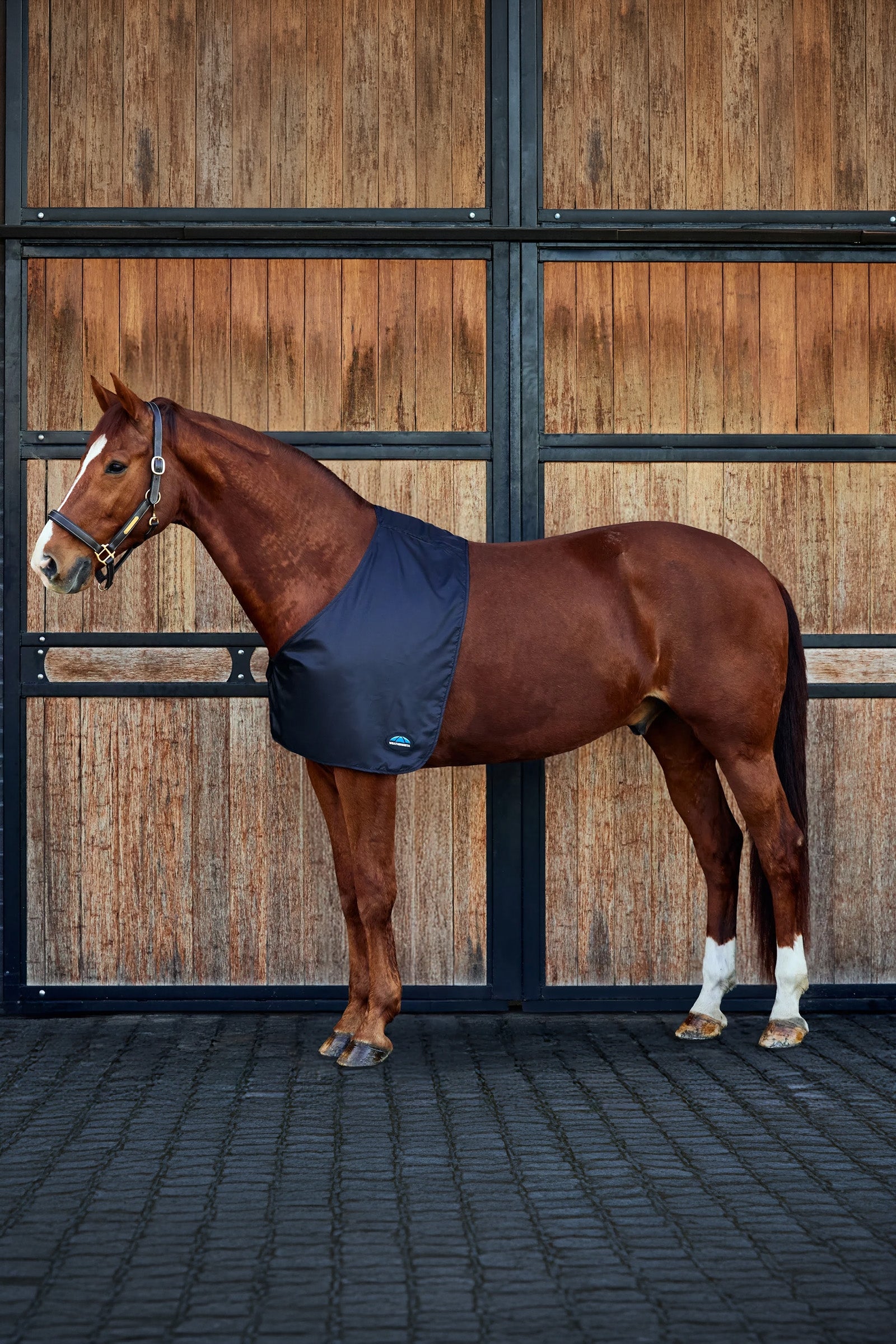 Weatherbeeta Satin Shoulder Guard Horse Rugs