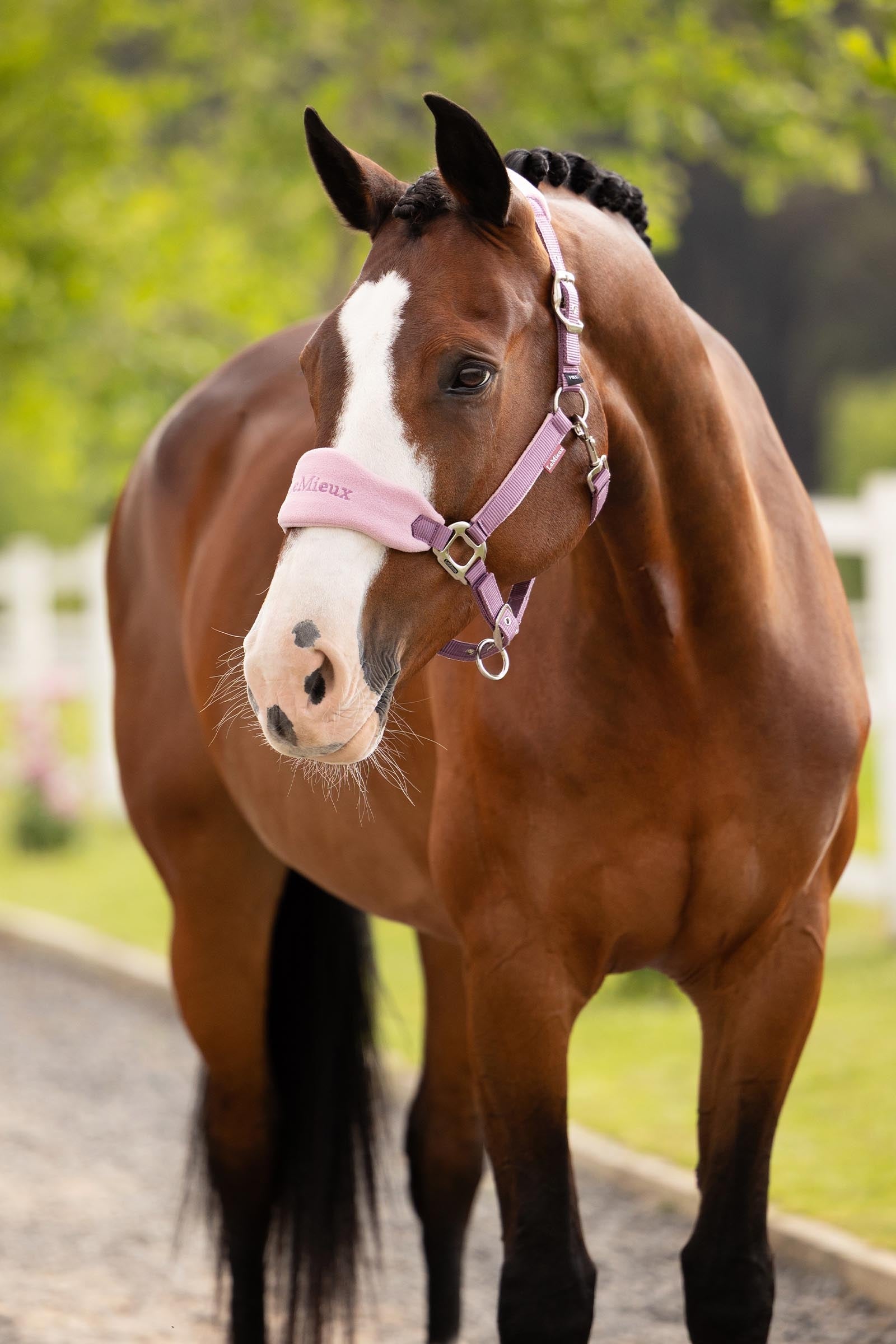 LeMieux Vogue Headcollar & Lead Rope Set Halters & Leads