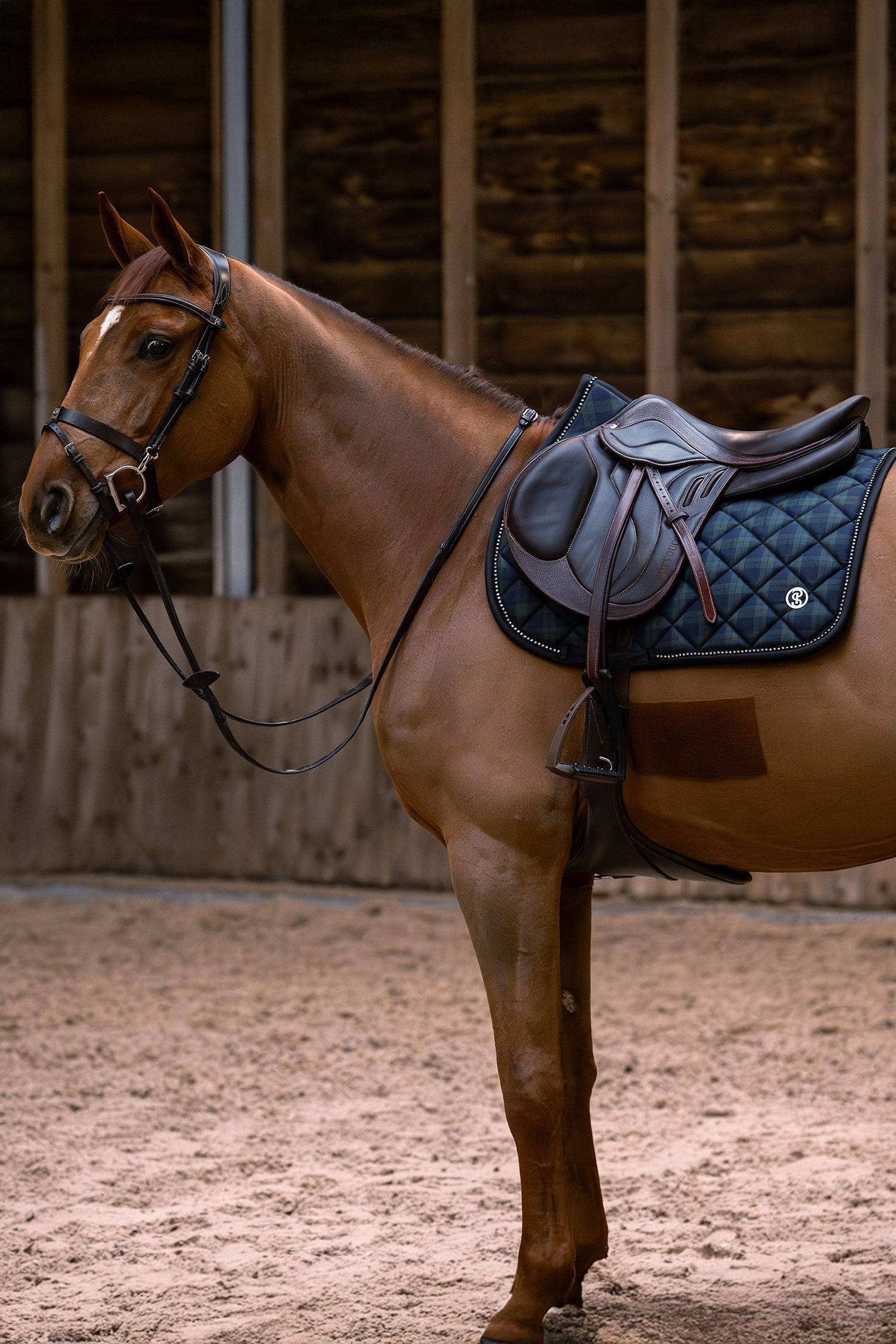 PS of Sweden Checked Jumping Saddle Pad Saddle Pads