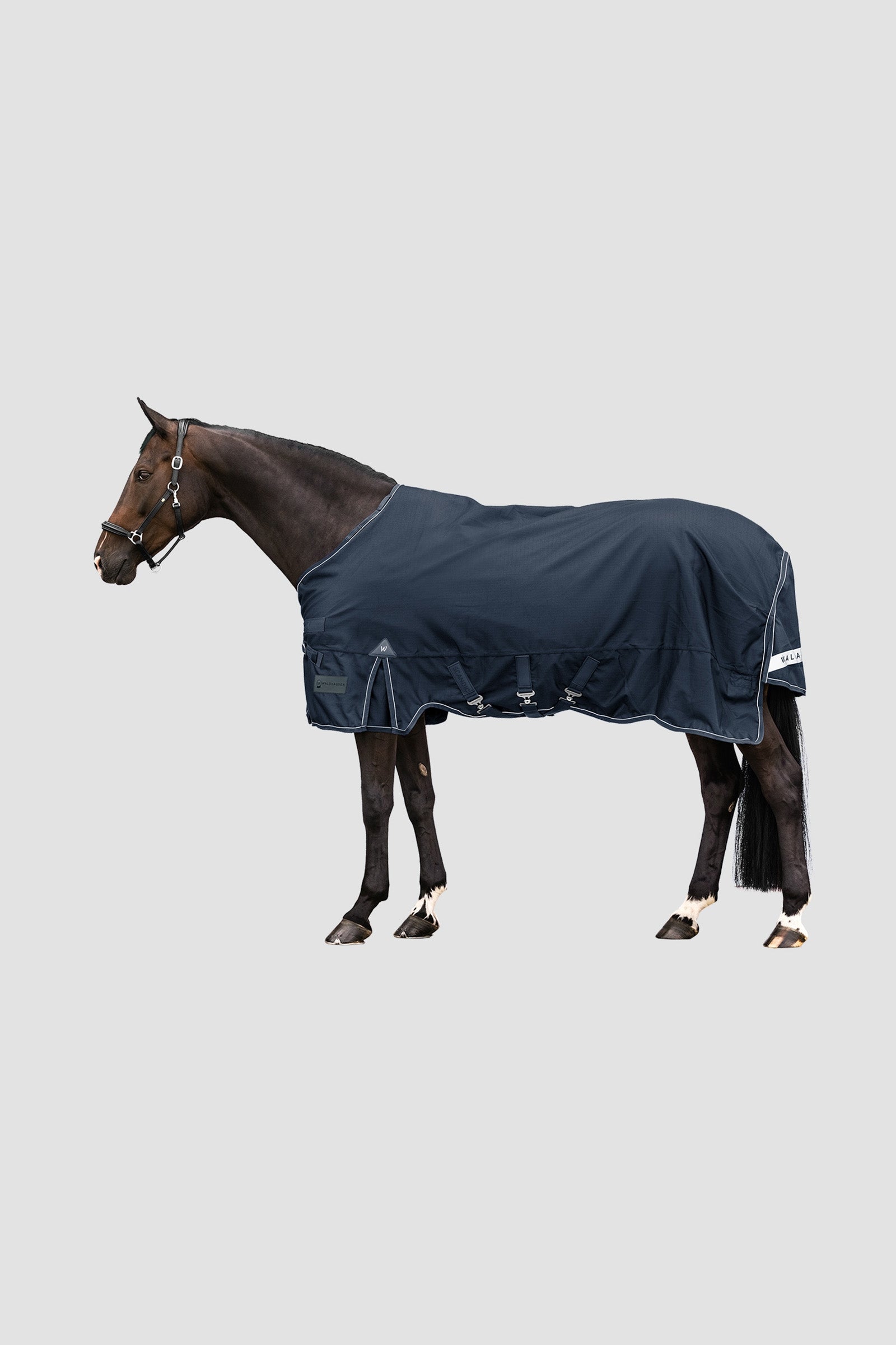Waldhausen Outdoor Rug Scandic 100g Paardendekens