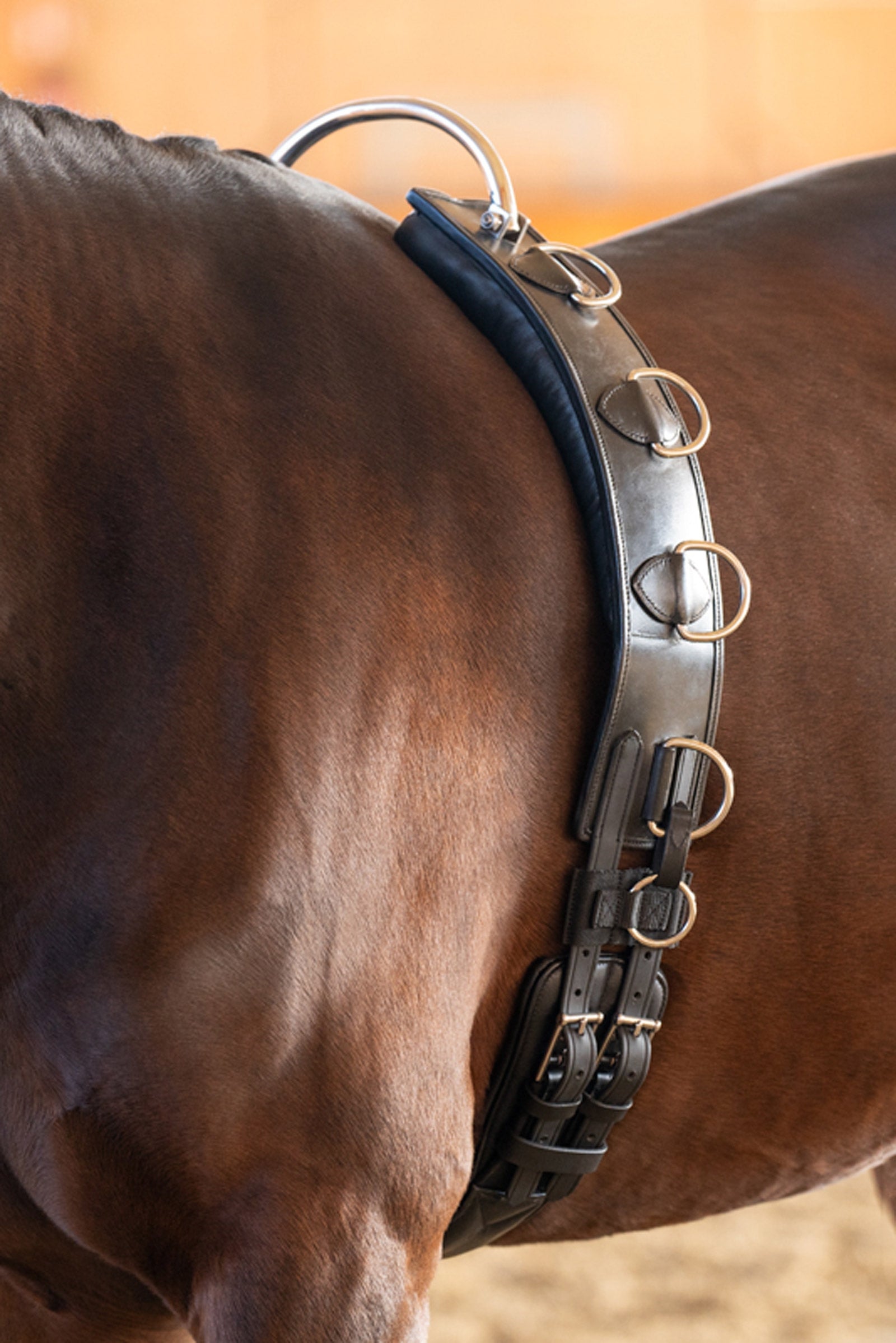 Kavalkade Lederen longeergordel met frame Zadels & Singels