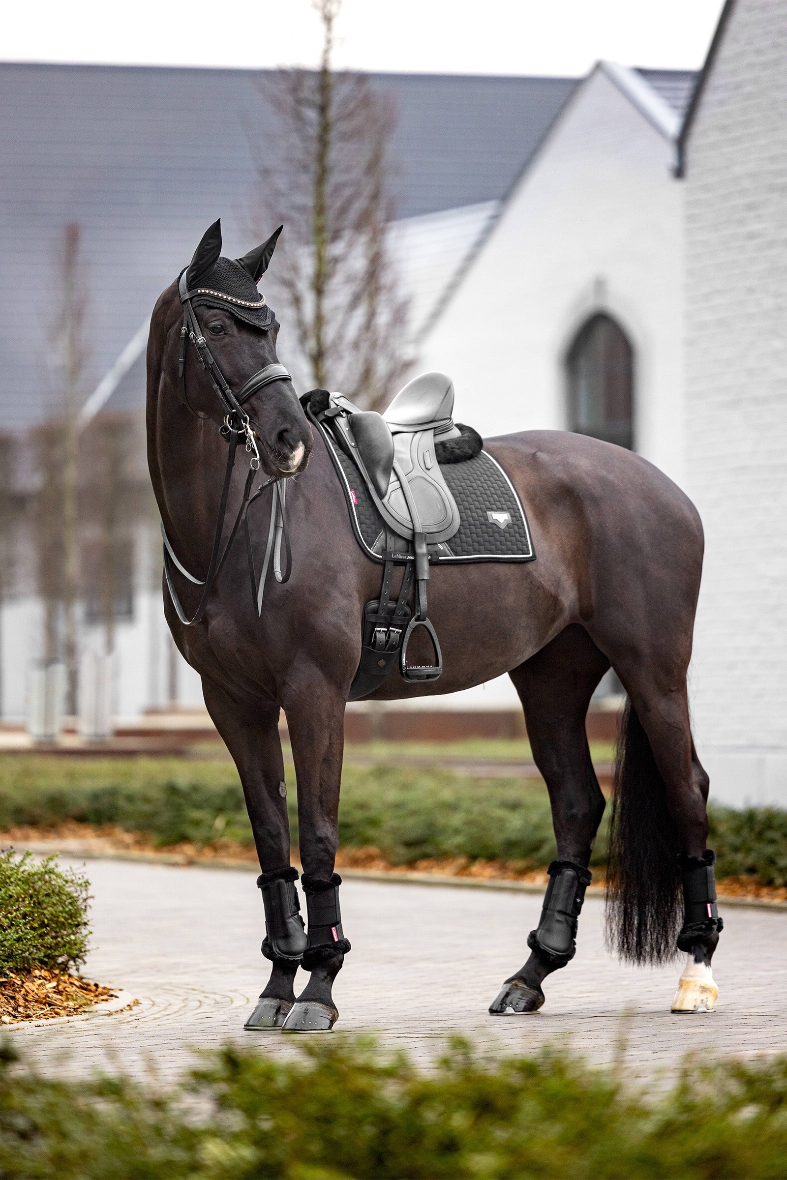 LeMieux Puissance Imitation Suede Dressage Saddle Pad Saddle Pads