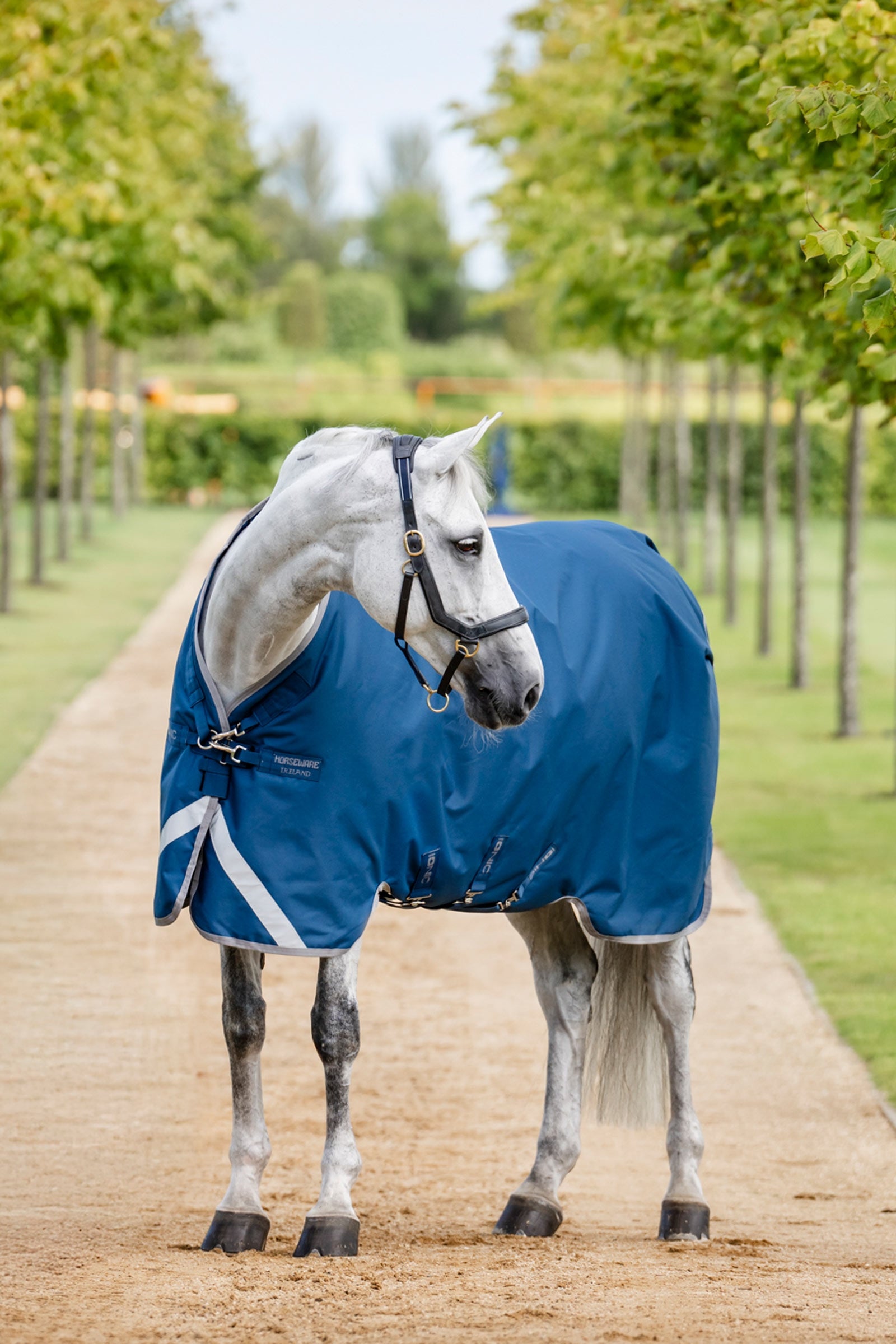 Horseware Ionic Therapy Turnout Rug, 100g Horse Rugs