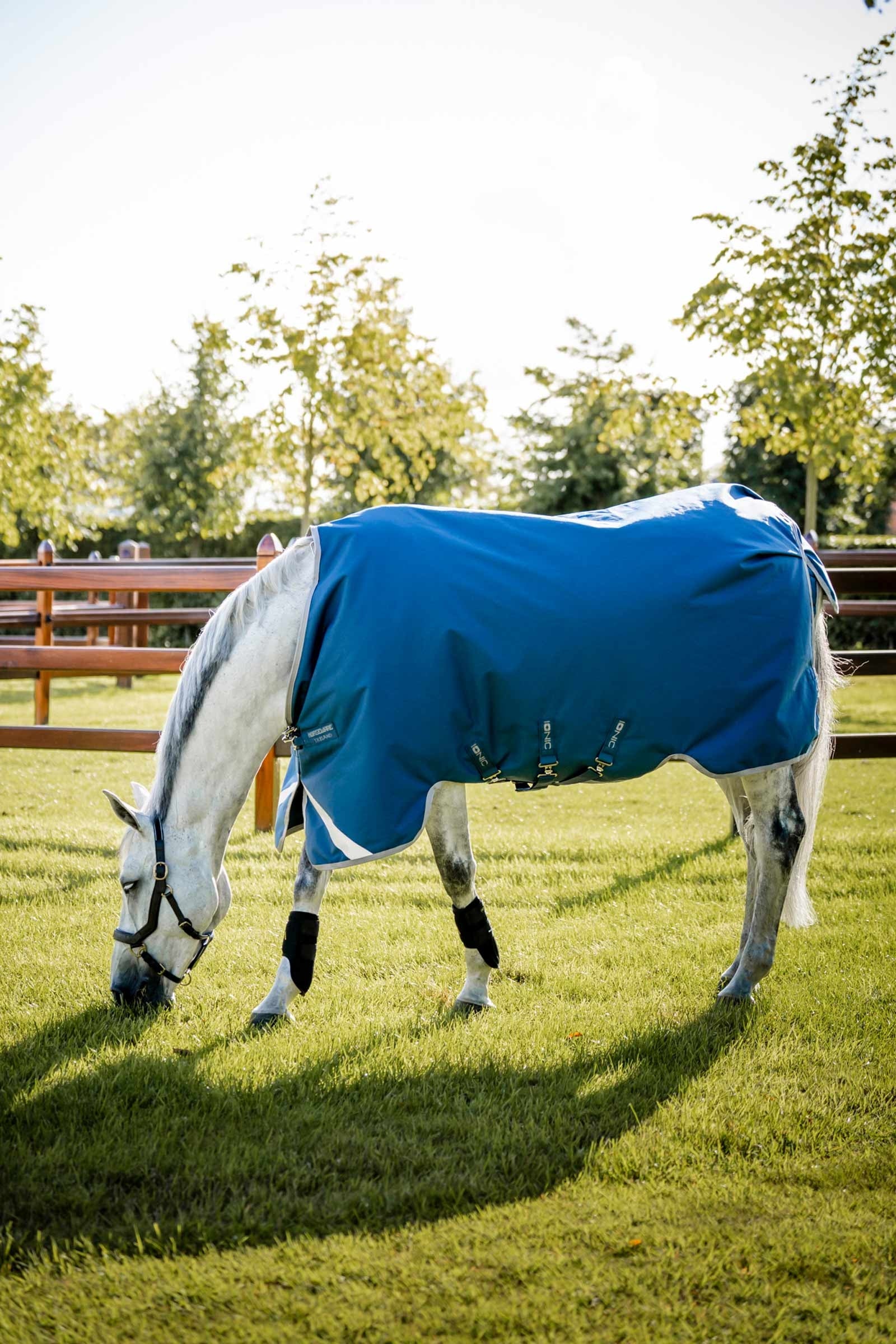Horseware Ionic Therapy Turnout Rug, 100g Horse Rugs
