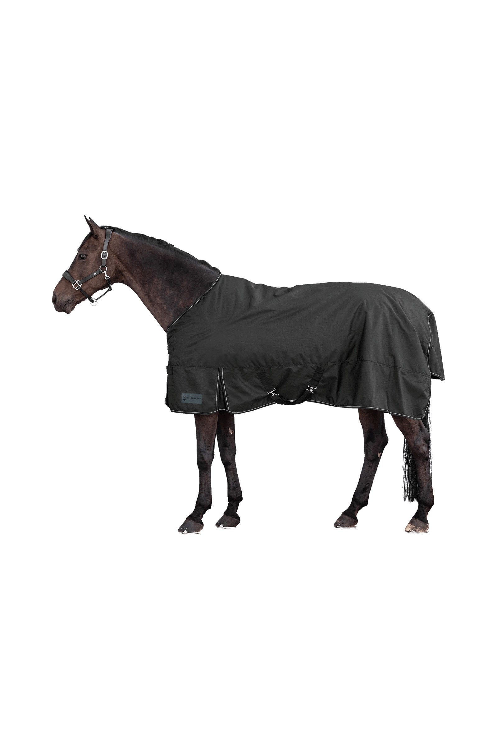 Waldhausen NORDIC 600D Outdoordeken, 50 g Paardendekens