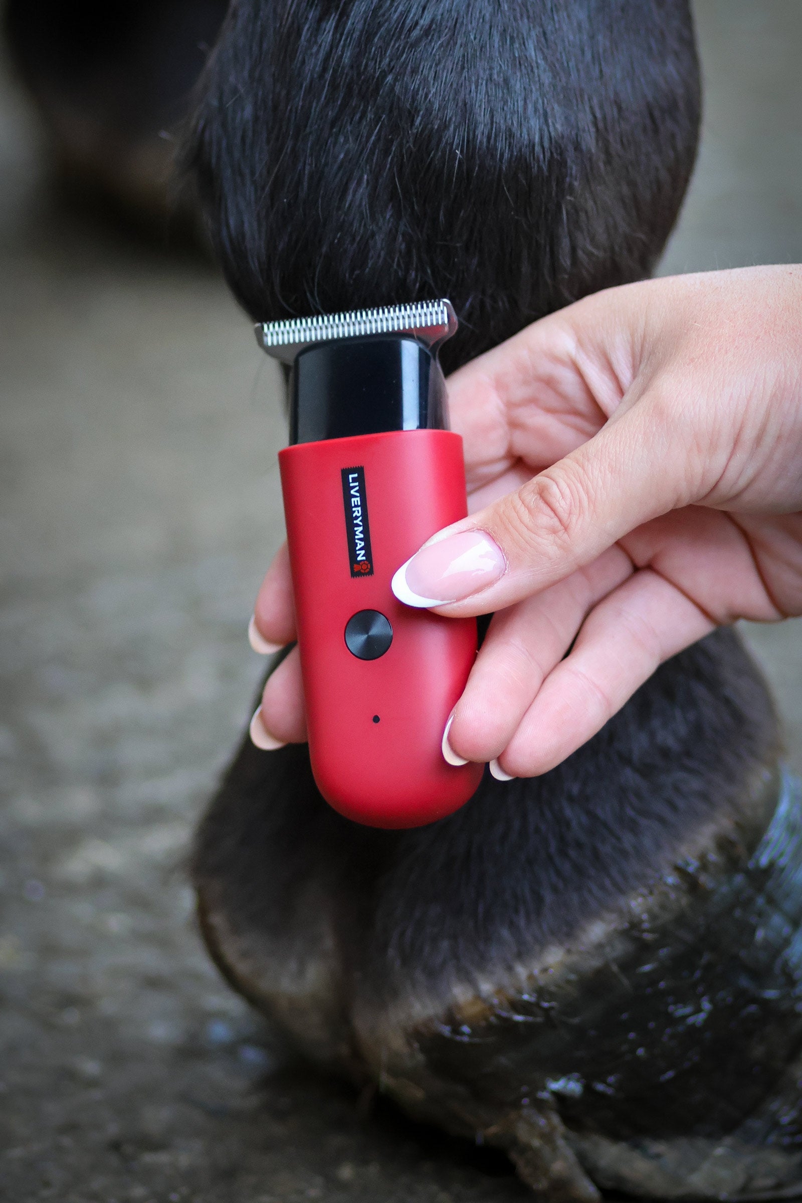 Liveryman Robin Equine Trimmer Horse Clipping & Trimming Tools