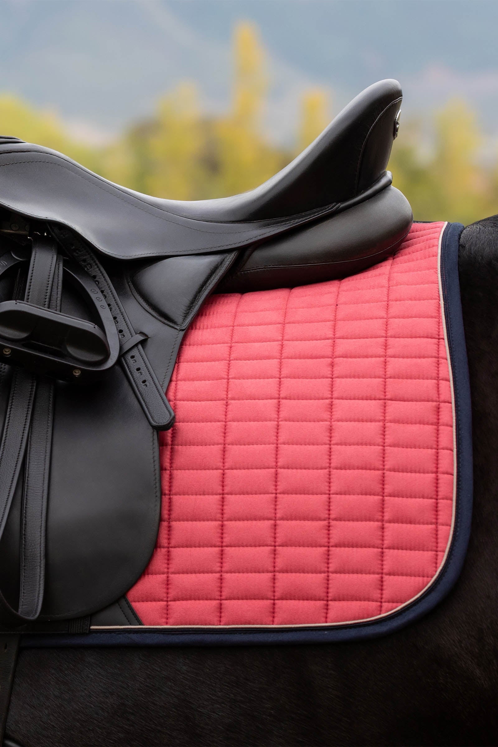 LeMieux Suede Square Dressage Saddle Pad Saddle Pads