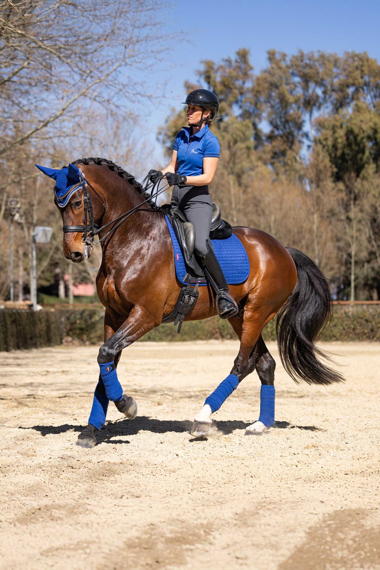 LeMieux Suede Square Dressage Saddle Pad Saddle Pads