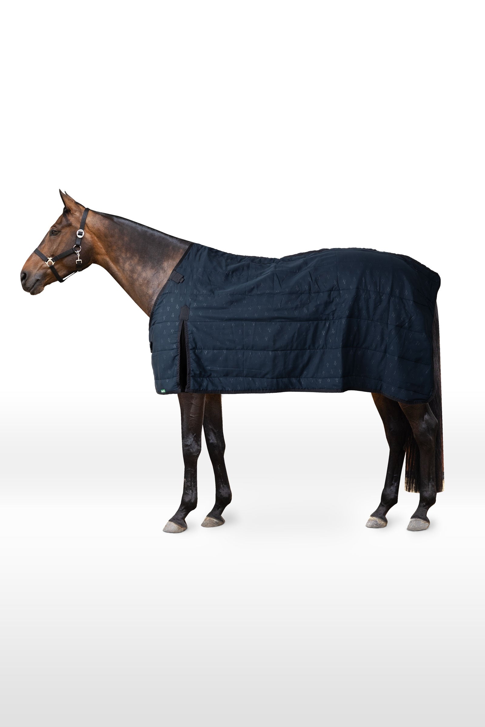 Horze onderdeken, 100 g Paardendekens