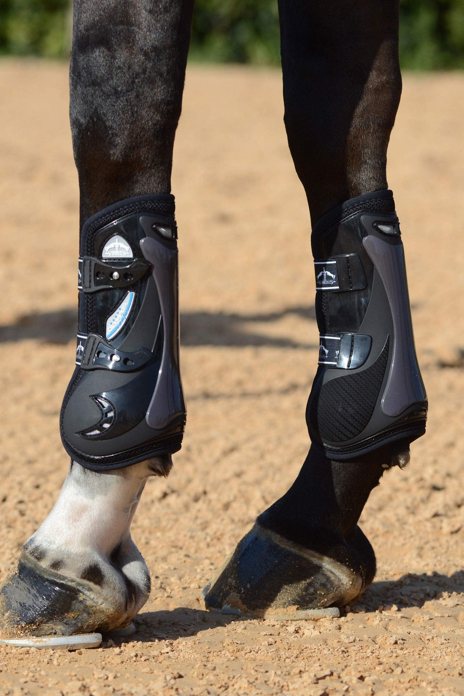 Veredus Olympus Vento Tendon Boots Leg Protection & Hoof Protection for Horses
